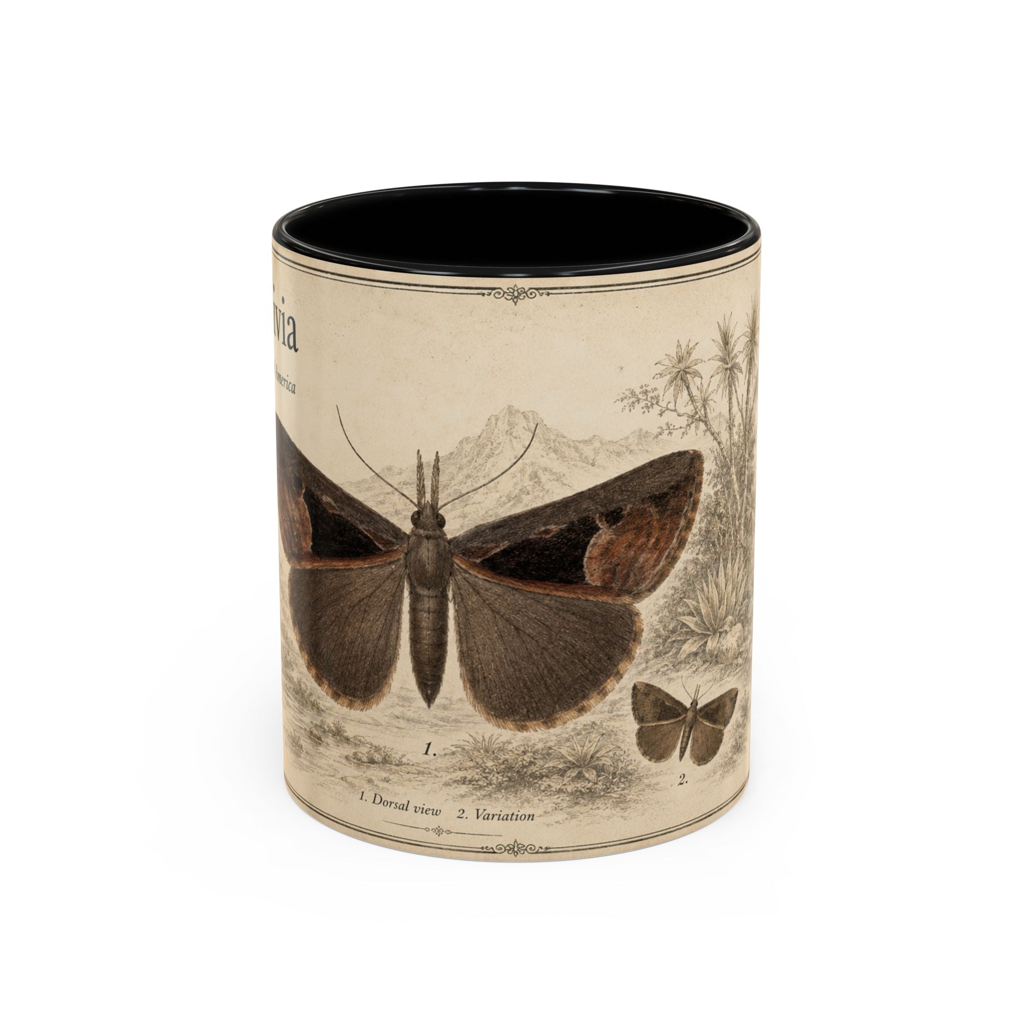 Custom Livia Snail Mug – Nature Lover's Gift for Livia (Hypena livia) – Europe/UK