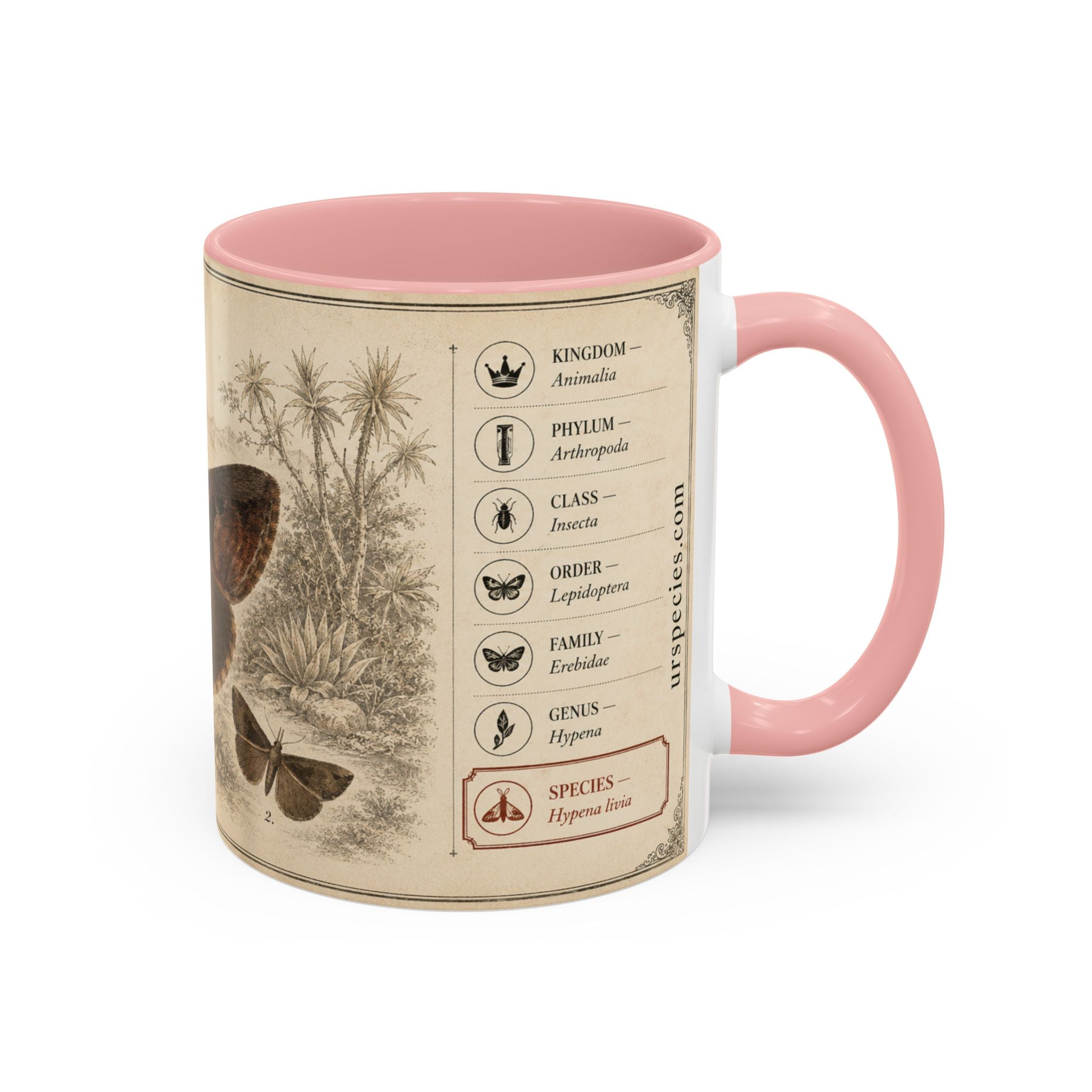 Custom Livia Snail Mug – Nature Lover's Gift for Livia (Hypena livia) – Europe/UK