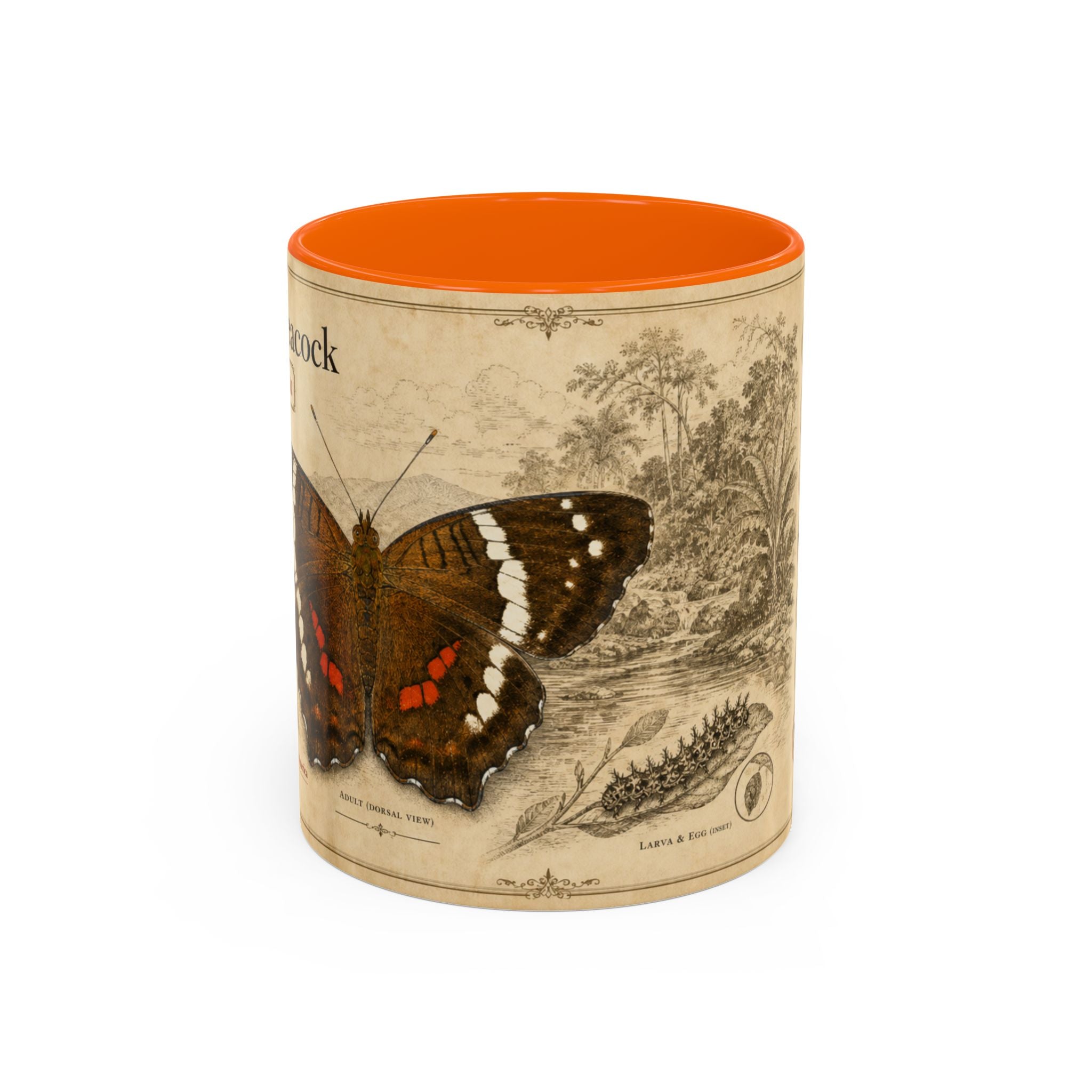 The banded peacock butterfly (Anartia fatima) Coffee Mug — Vintage Mug