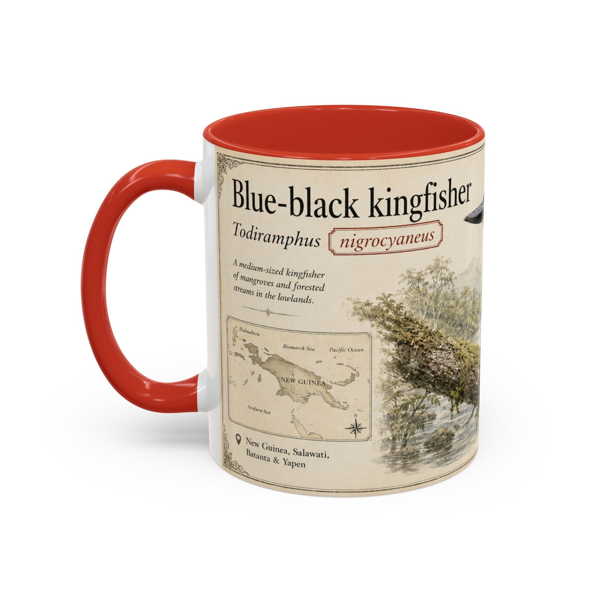 Copy of Custom Woodlouse-Hunting Spider Mug – Nature Lover's Gift for Ferran (Dysdera ferrandezi) – Europe/UK