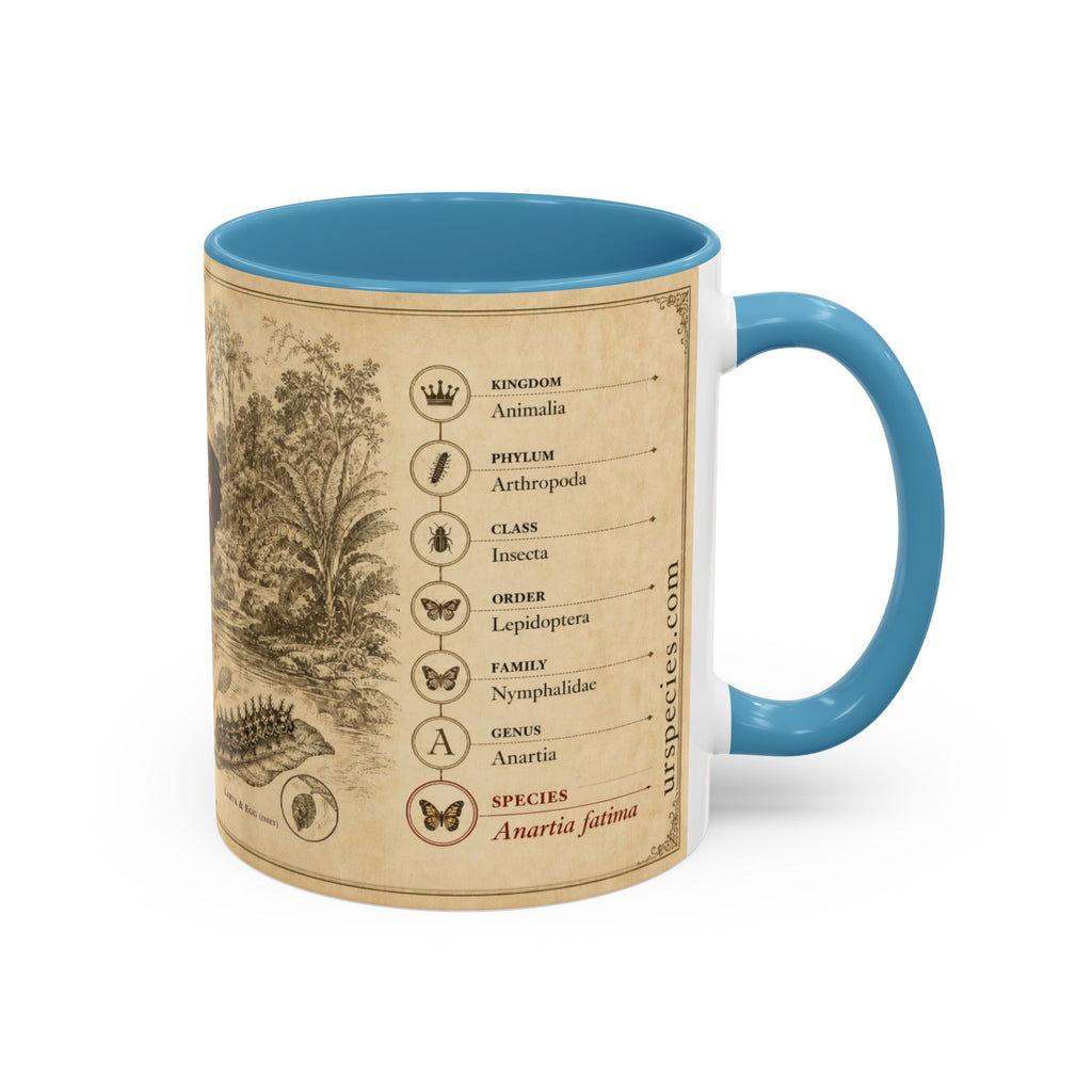 The banded peacock butterfly (Anartia fatima) Coffee Mug — Vintage Mug