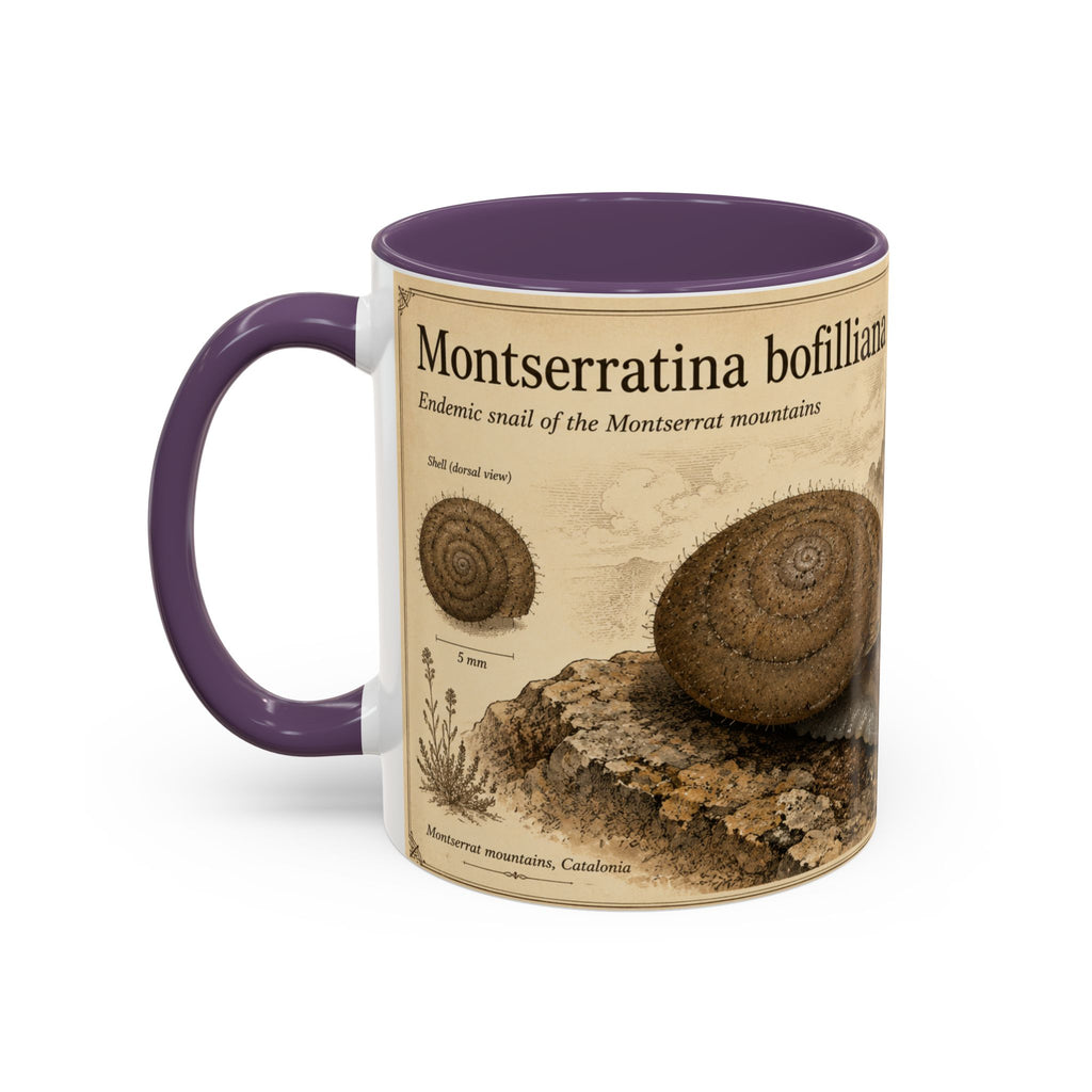 Custom Montserrat Snail Mug – Nature Lover's Gift for Montserrat (Montserratina bofilliana) – Europe/UK
