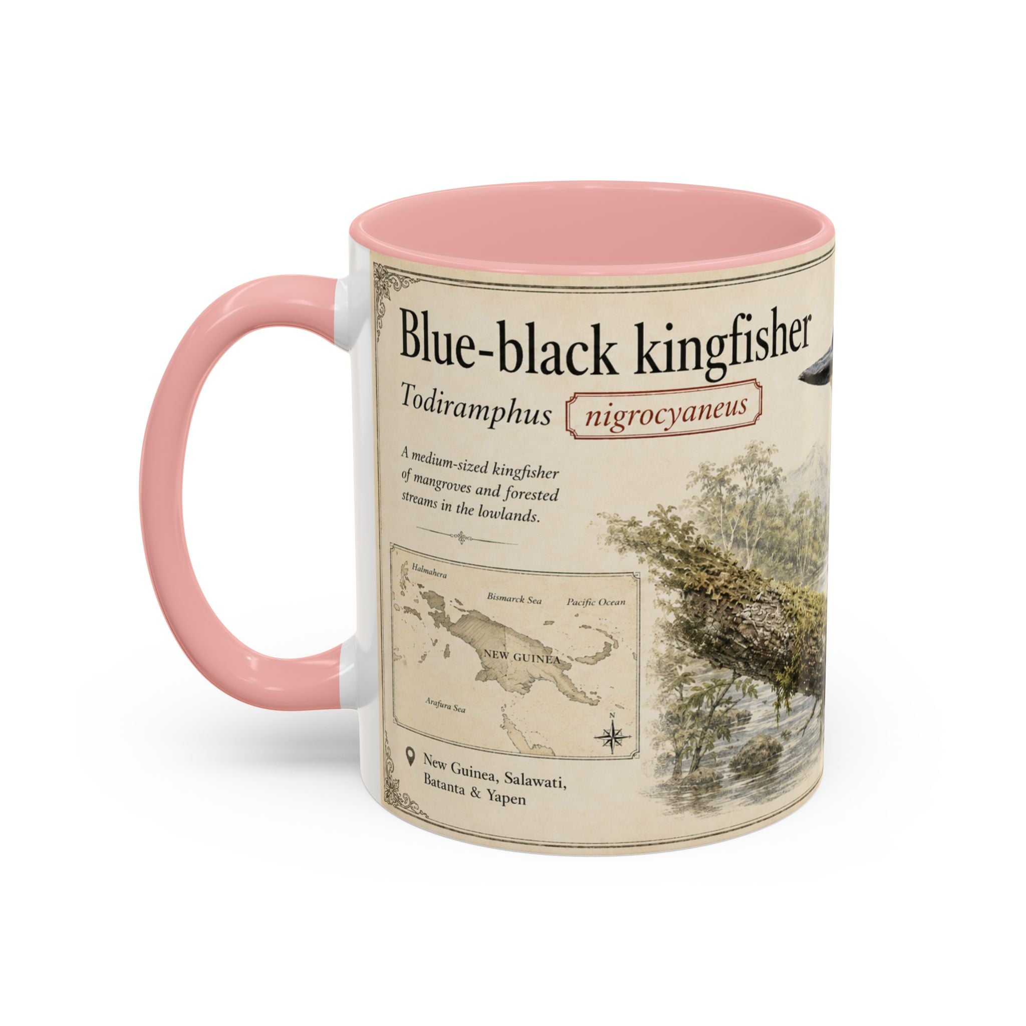 Copy of Custom Woodlouse-Hunting Spider Mug – Nature Lover's Gift for Ferran (Dysdera ferrandezi) – Europe/UK