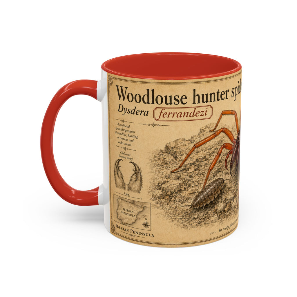 Custom Woodlouse-Hunting Spider Mug – Nature Lover's Gift for Ferran (Dysdera ferrandezi) – Europe/UK