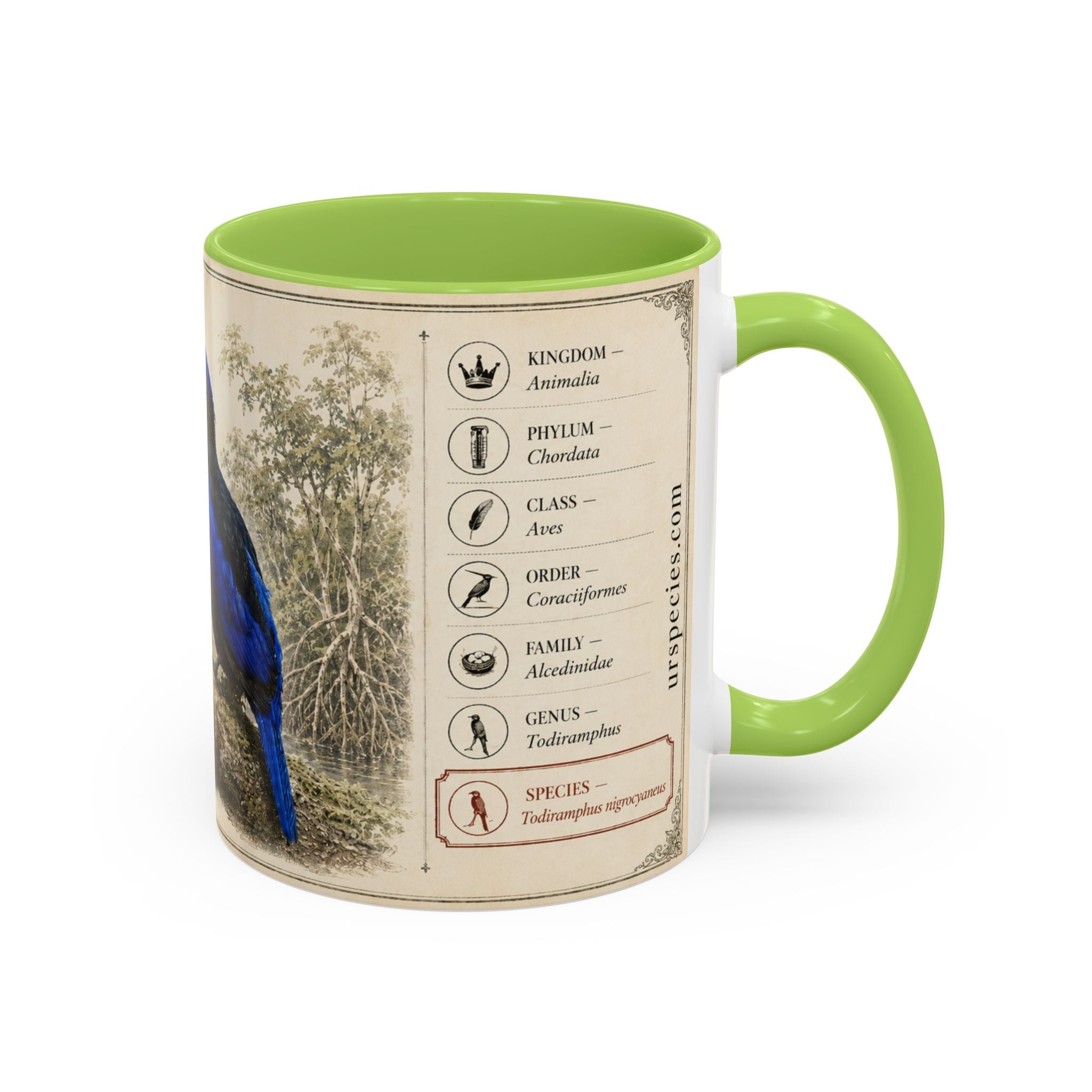 Copy of Custom Woodlouse-Hunting Spider Mug – Nature Lover's Gift for Ferran (Dysdera ferrandezi) – Europe/UK
