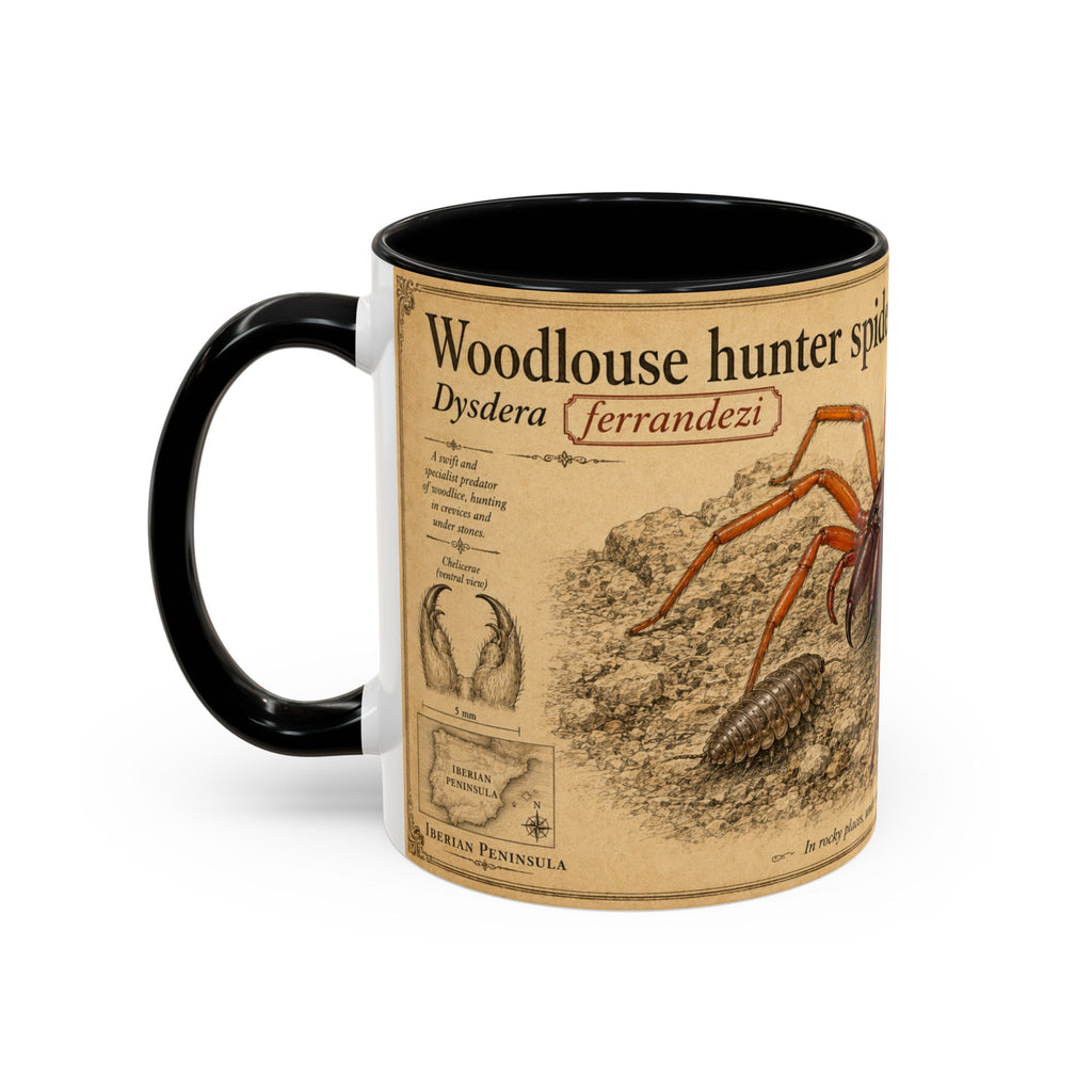 Custom Woodlouse-Hunting Spider Mug – Nature Lover's Gift for Ferran (Dysdera ferrandezi) – Europe/UK