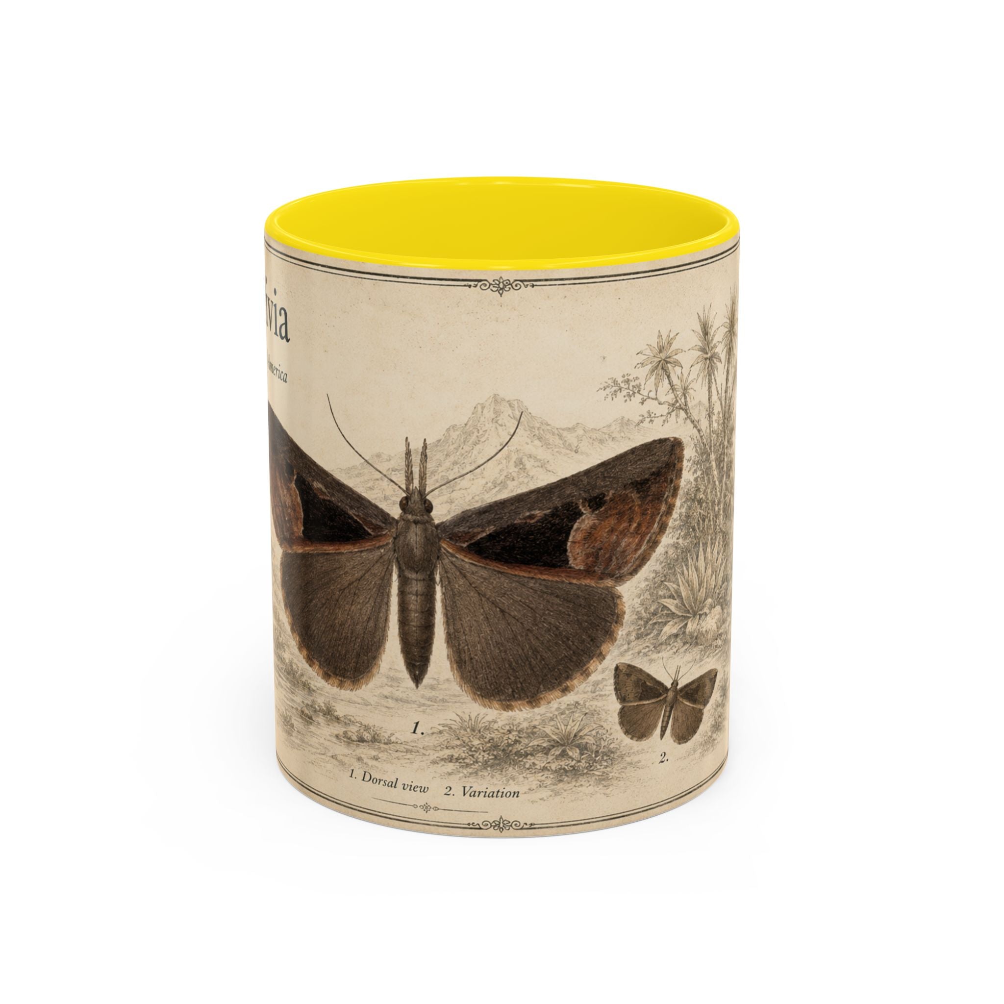 Custom Livia Snail Mug – Nature Lover's Gift for Livia (Hypena livia) – Europe/UK