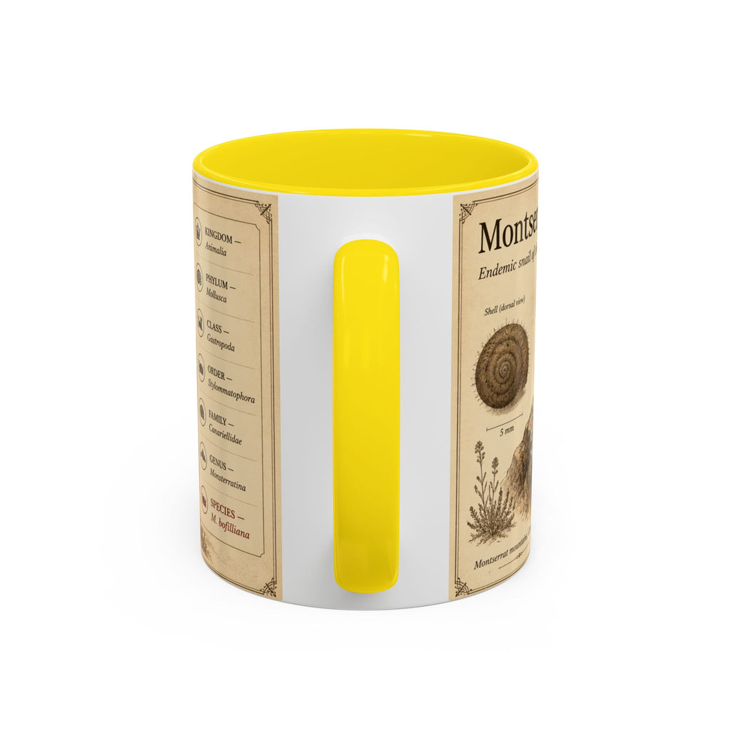 Custom Montserrat Snail Mug – Nature Lover's Gift for Montserrat (Montserratina bofilliana) – Europe/UK