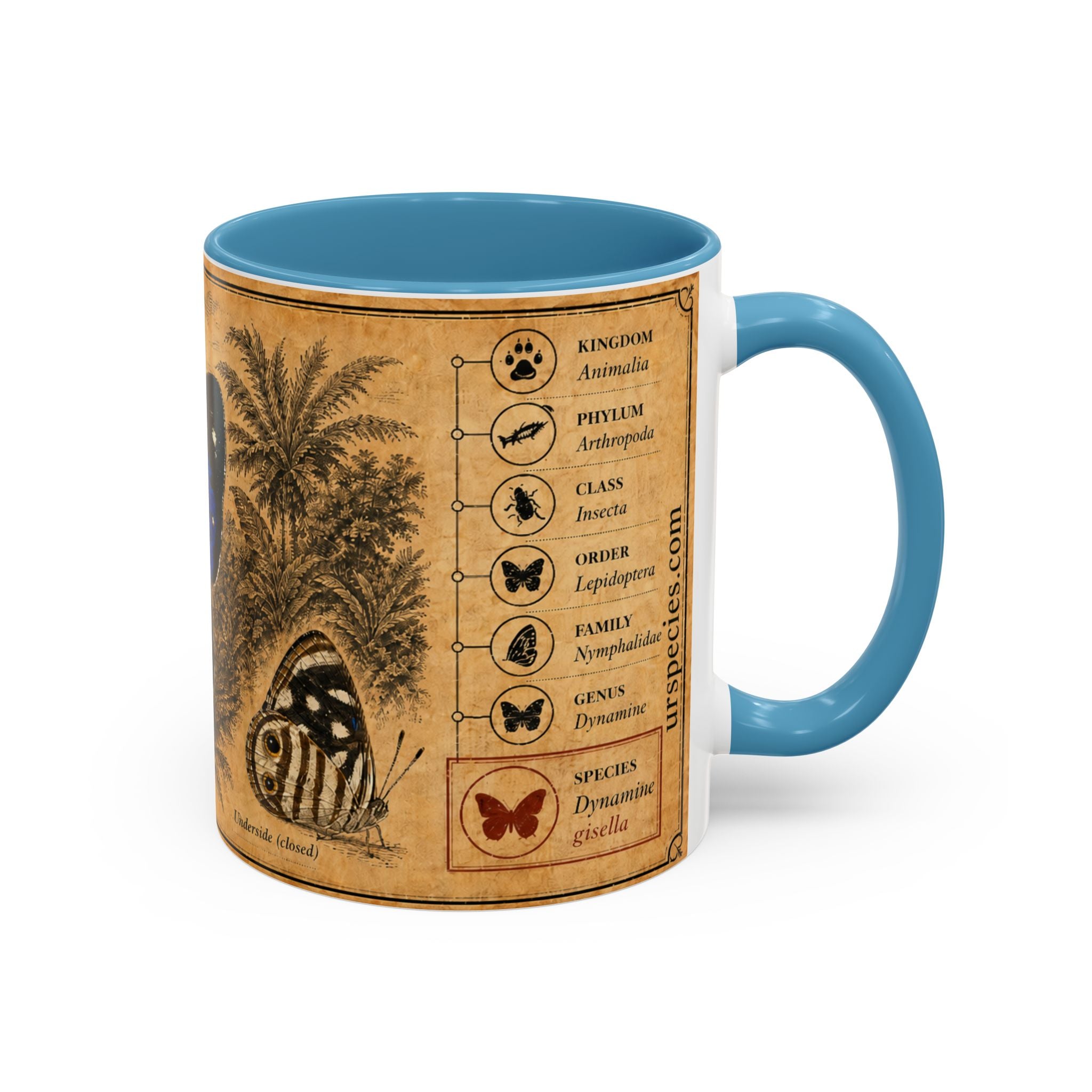 Gisella's Butterfly (Dynamine gisella) Coffee Mug — Vintage Blue Mug