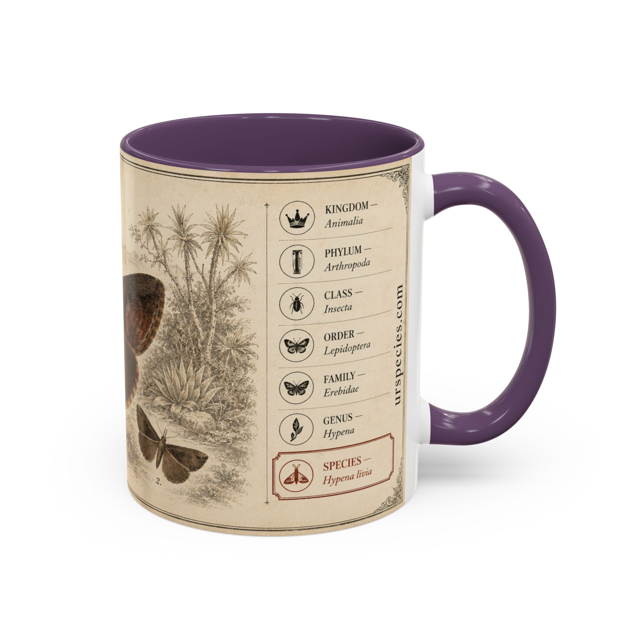 Custom Livia Snail Mug – Nature Lover's Gift for Livia (Hypena livia) – Europe/UK
