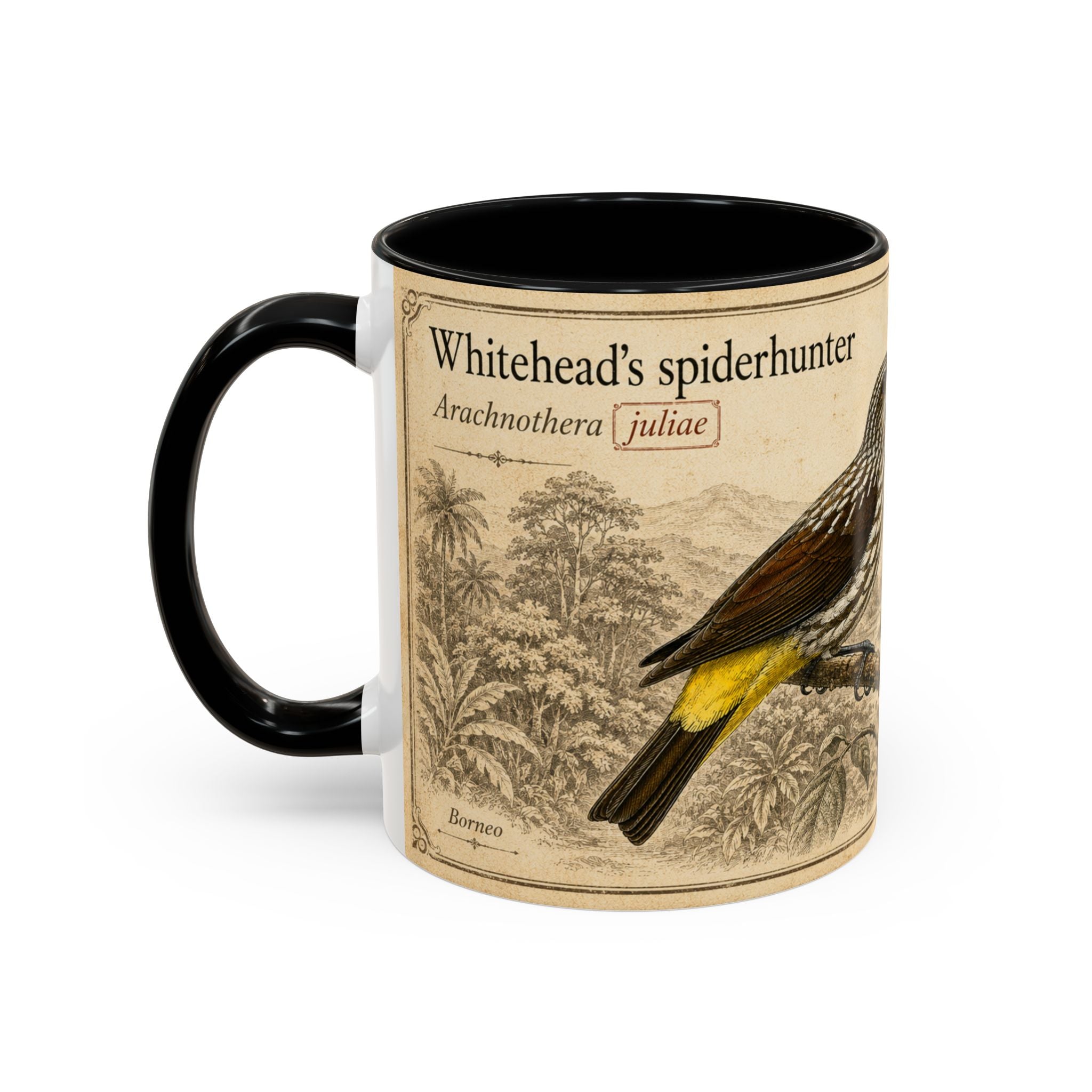 Custom Gift for Julia - Whitehead's spiderhunter (Arachnothera juliae) Nature Lovers Mug  - Europe / UK
