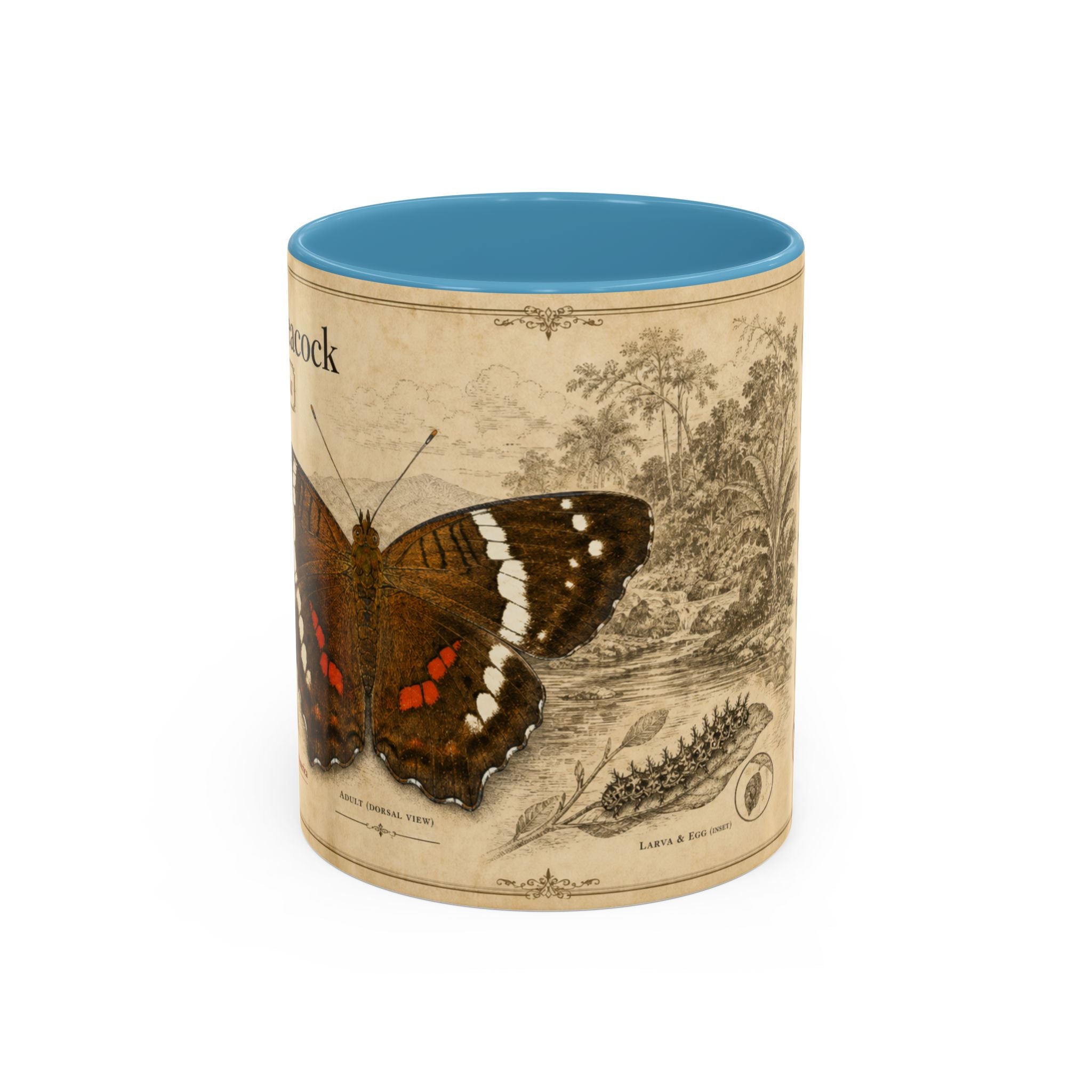 The banded peacock butterfly (Anartia fatima) Coffee Mug — Vintage Mug