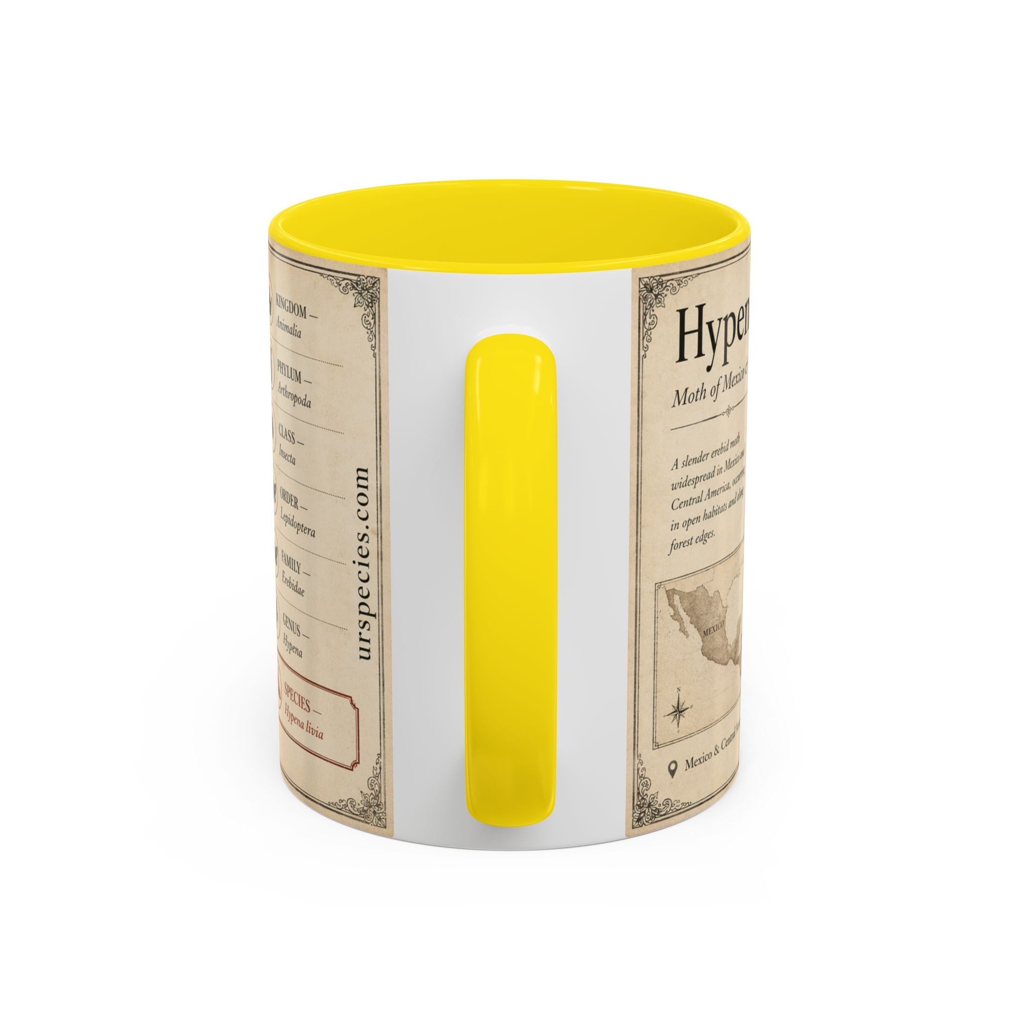 Custom Livia Snail Mug – Nature Lover's Gift for Livia (Hypena livia) – Europe/UK