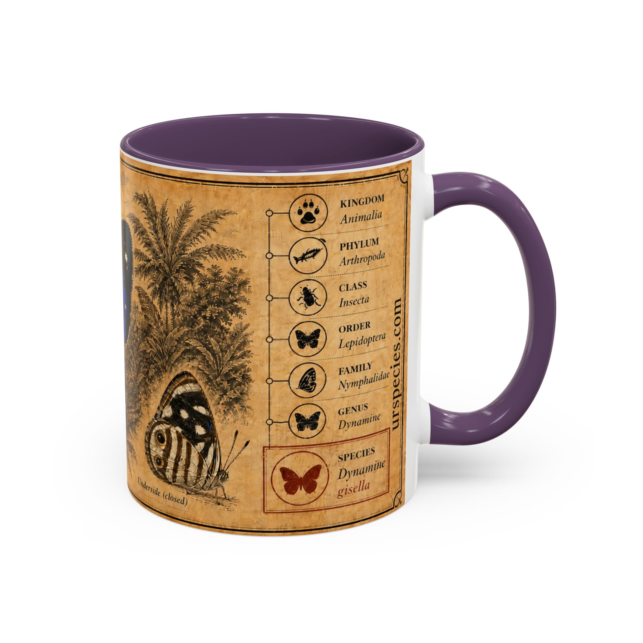 Gisella's Butterfly (Dynamine gisella) Coffee Mug — Vintage Blue Mug