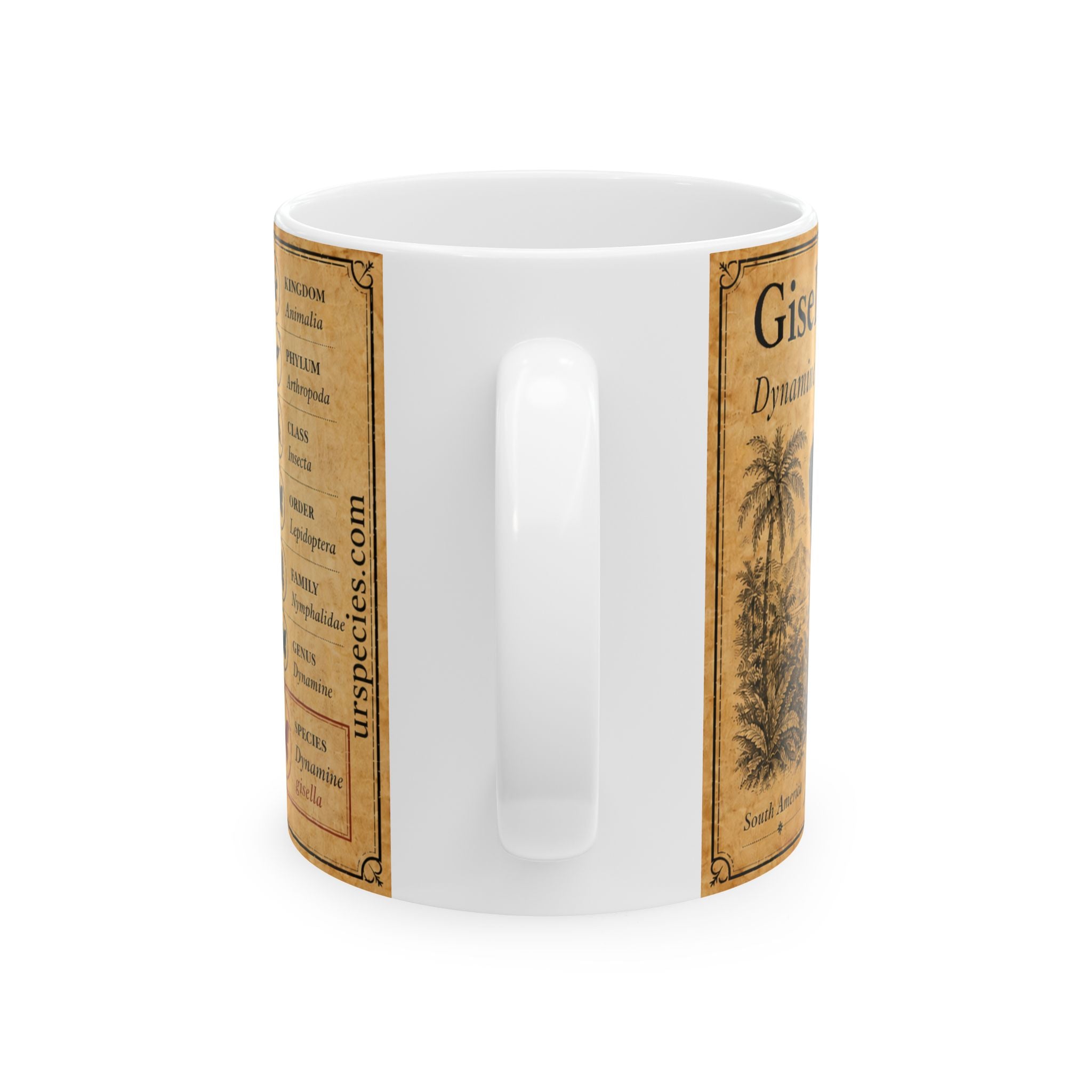 Dynamine gisella Illustration Ceramic Mug – Vintage Natural History Gisella's butterfly (Dynamine gisella) Art, 11oz & 15oz