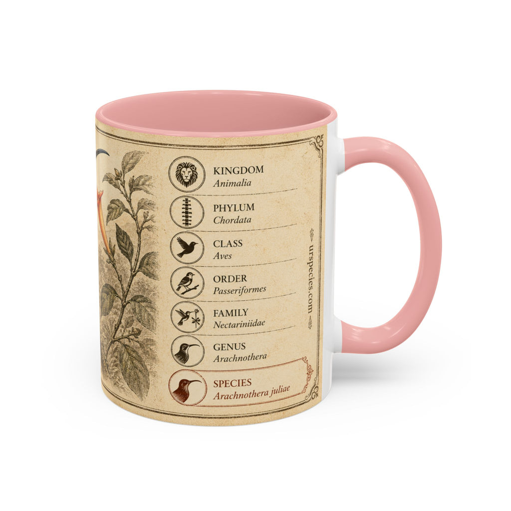 Custom Gift for Julia - Whitehead's spiderhunter (Arachnothera juliae) Nature Lovers Mug  - Europe / UK
