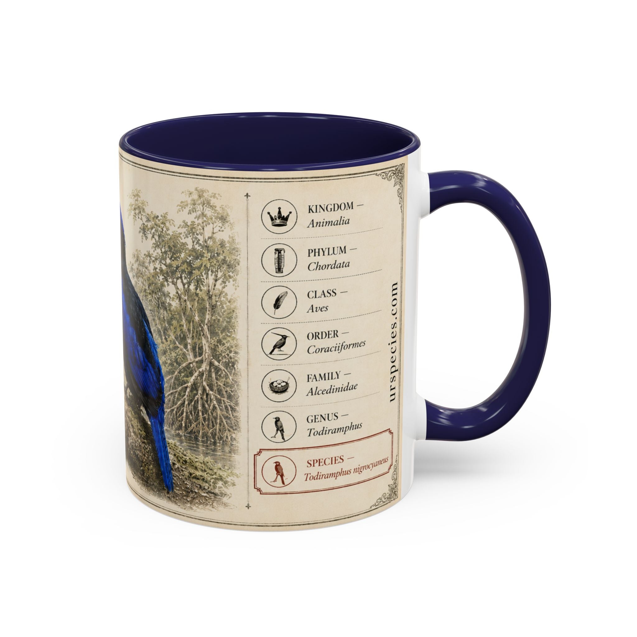 Copy of Custom Woodlouse-Hunting Spider Mug – Nature Lover's Gift for Ferran (Dysdera ferrandezi) – Europe/UK