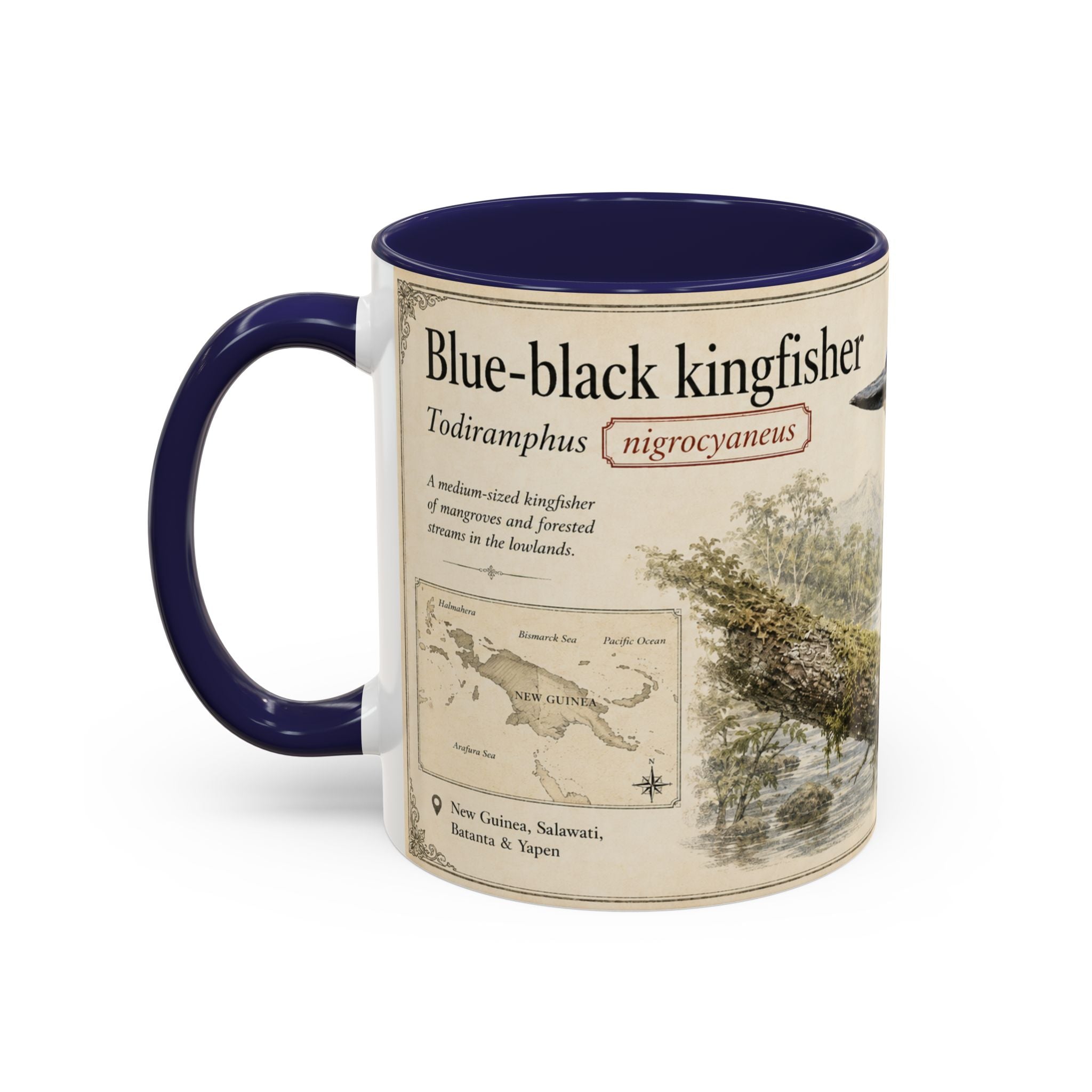 Copy of Custom Woodlouse-Hunting Spider Mug – Nature Lover's Gift for Ferran (Dysdera ferrandezi) – Europe/UK