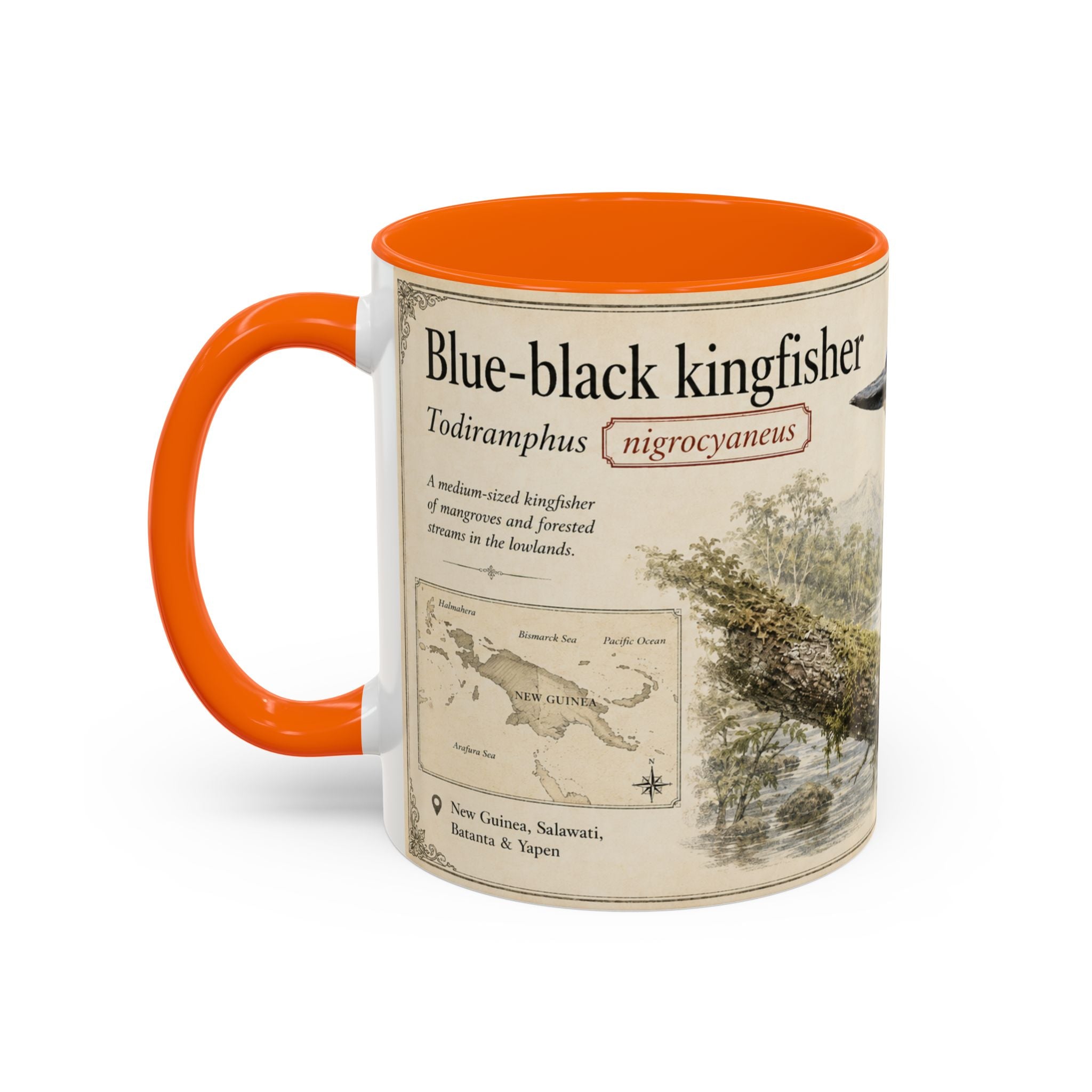 Copy of Custom Woodlouse-Hunting Spider Mug – Nature Lover's Gift for Ferran (Dysdera ferrandezi) – Europe/UK