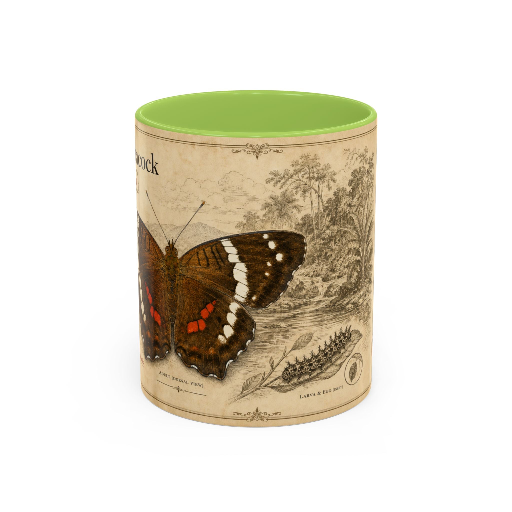 The banded peacock butterfly (Anartia fatima) Coffee Mug — Vintage Mug