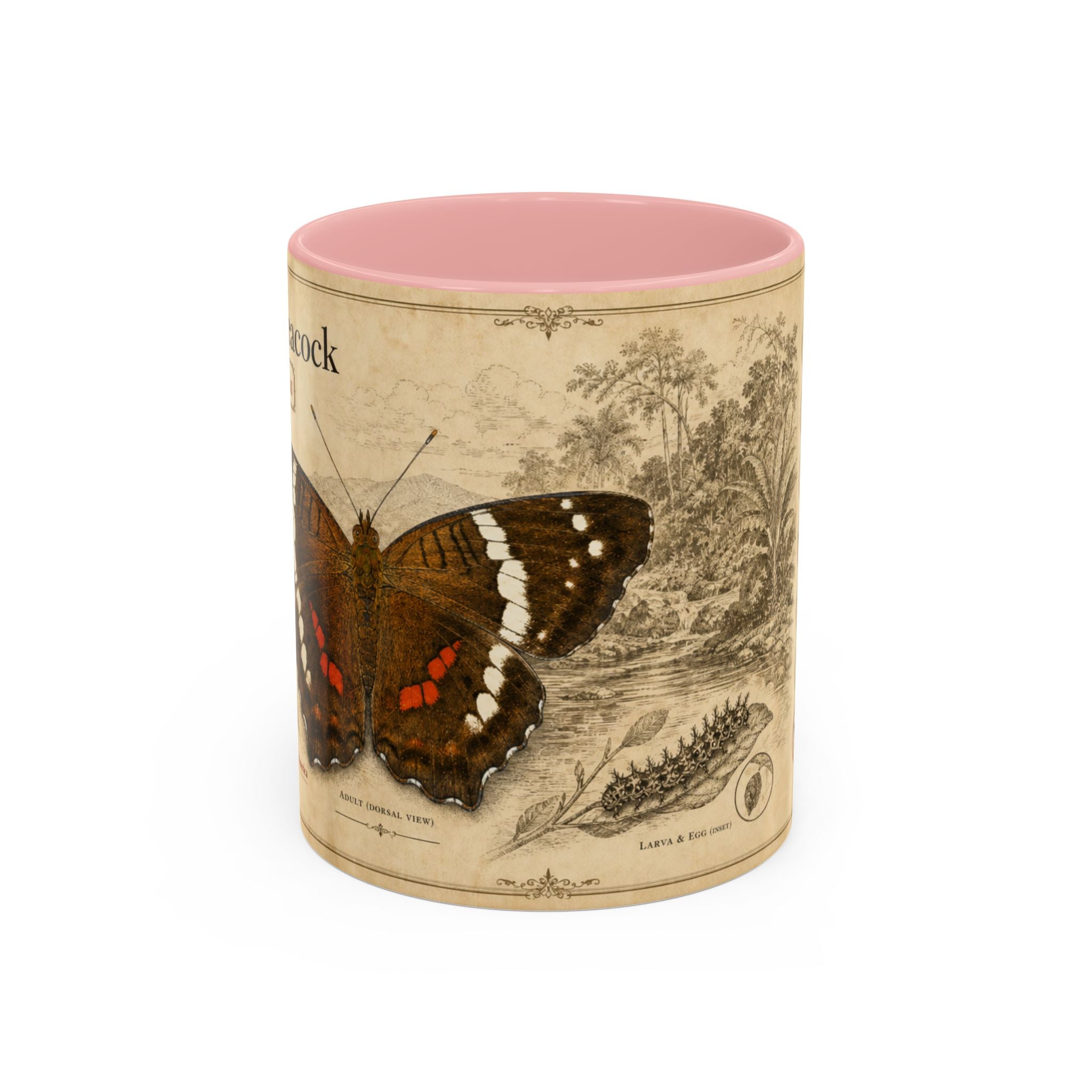 The banded peacock butterfly (Anartia fatima) Coffee Mug — Vintage Mug