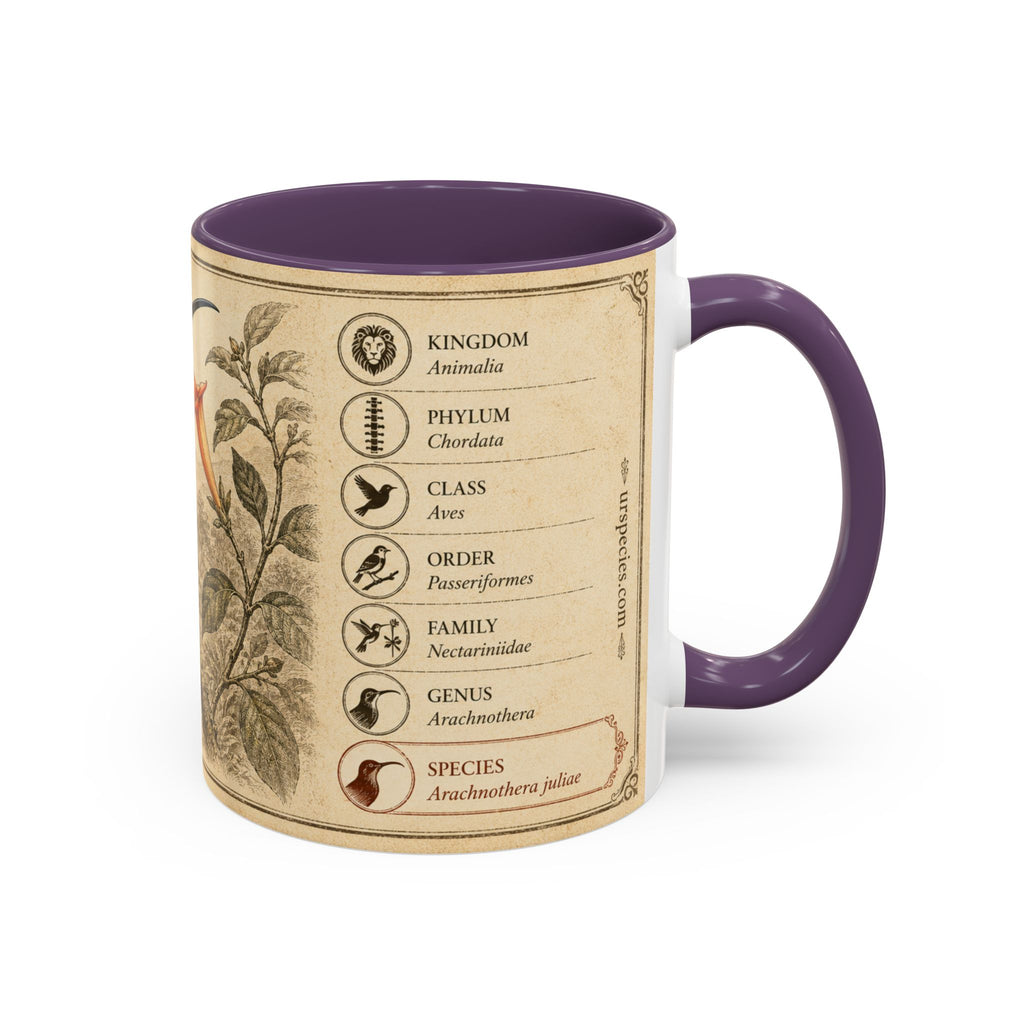 Custom Gift for Julia - Whitehead's spiderhunter (Arachnothera juliae) Nature Lovers Mug  - Europe / UK