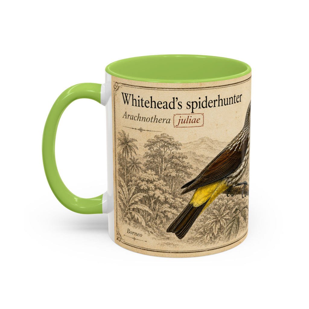 Custom Gift for Julia - Whitehead's spiderhunter (Arachnothera juliae) Nature Lovers Mug  - Europe / UK