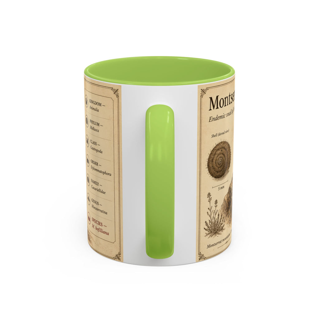 Custom Montserrat Snail Mug – Nature Lover's Gift for Montserrat (Montserratina bofilliana) – Europe/UK