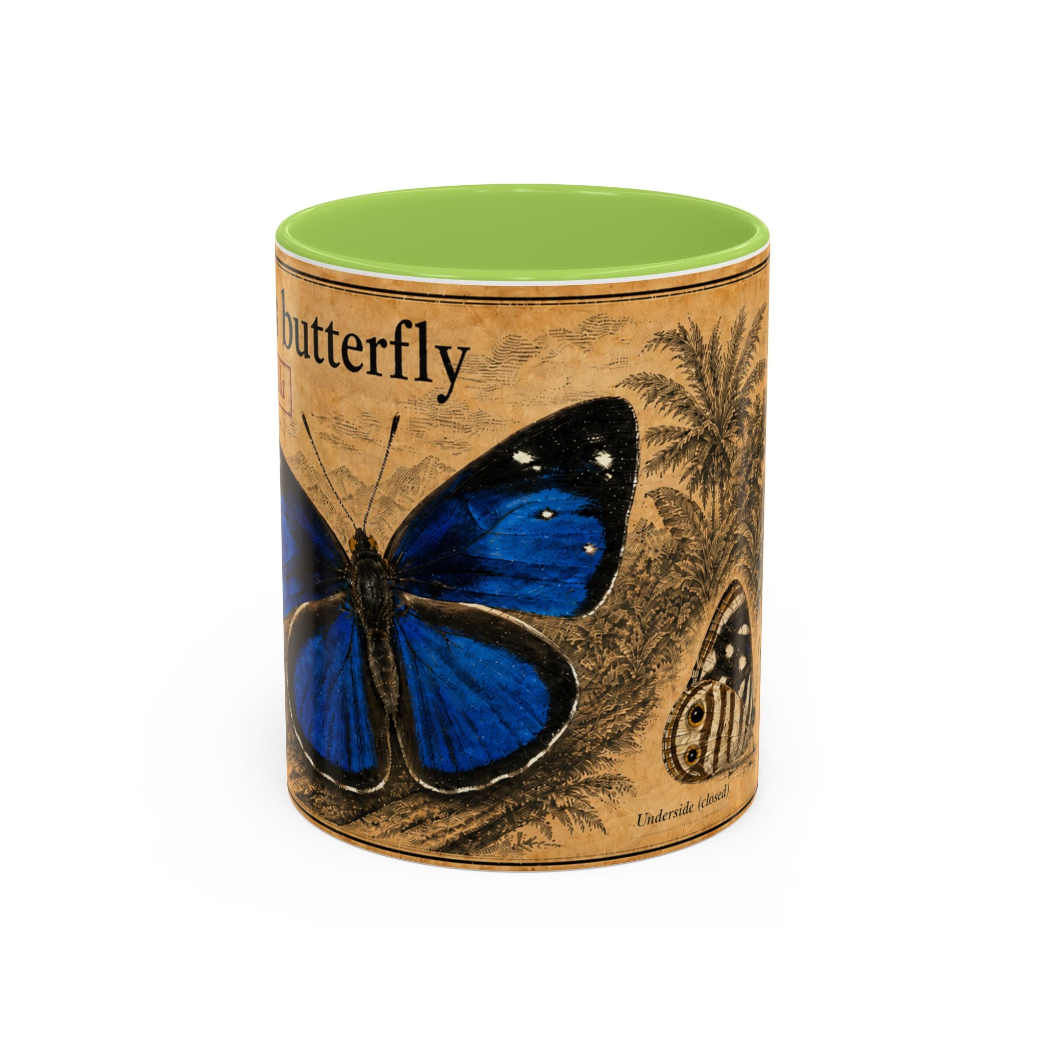 Gisella's Butterfly (Dynamine gisella) Coffee Mug — Vintage Blue Mug