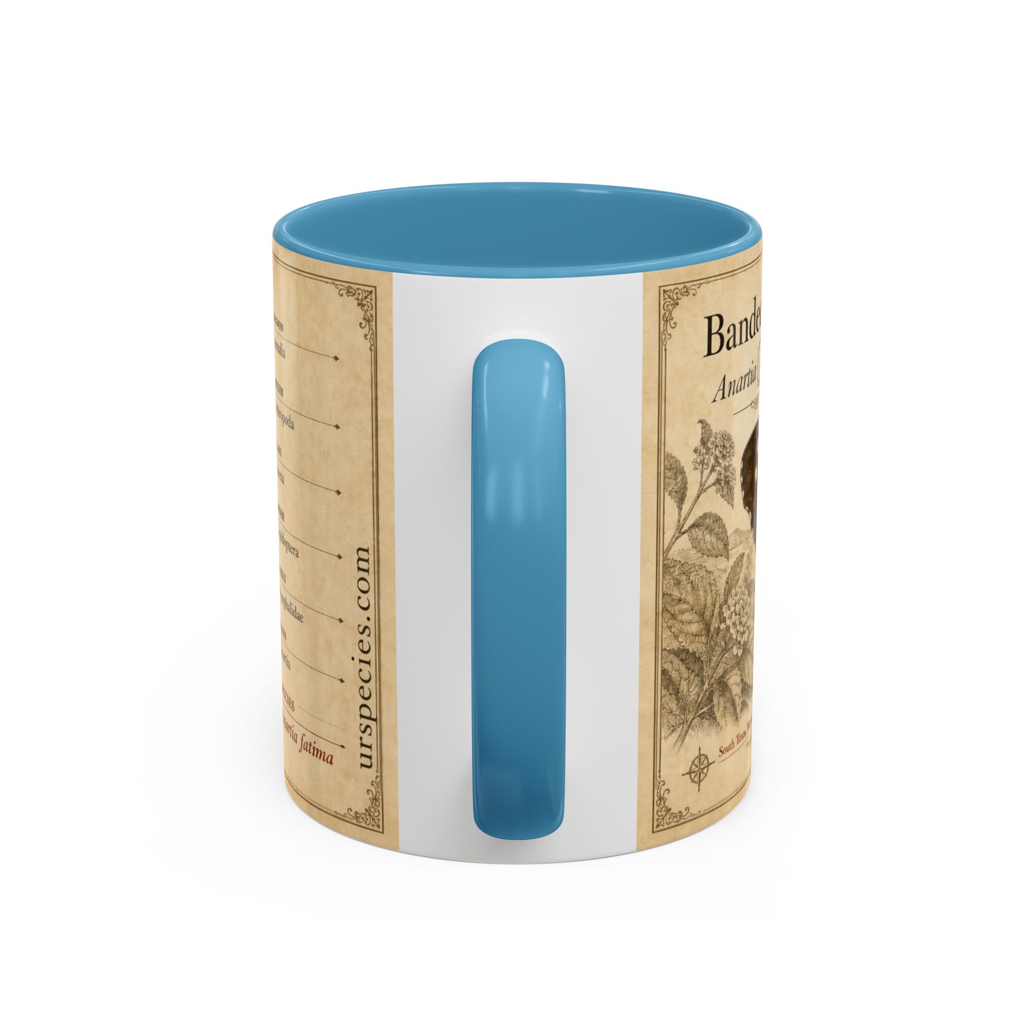The banded peacock butterfly (Anartia fatima) Coffee Mug — Vintage Mug