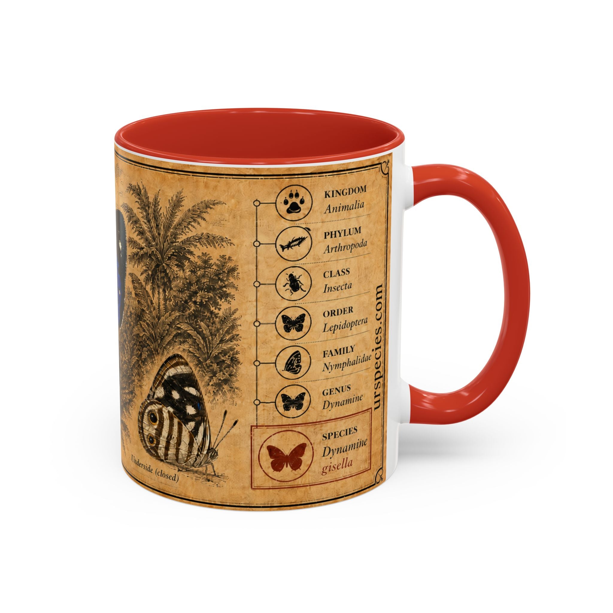Gisella's Butterfly (Dynamine gisella) Coffee Mug — Vintage Blue Mug