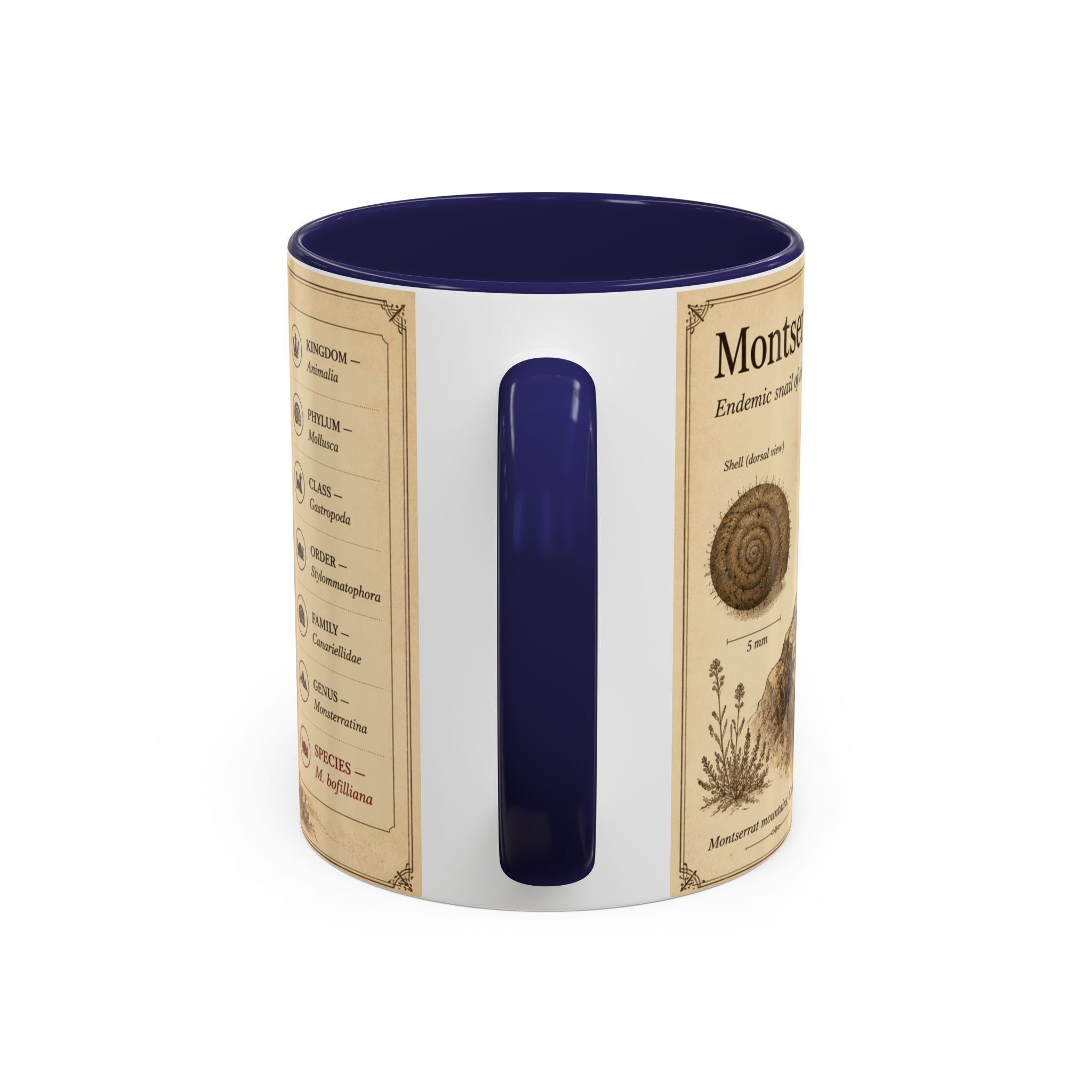 Custom Montserrat Snail Mug – Nature Lover's Gift for Montserrat (Montserratina bofilliana) – Europe/UK