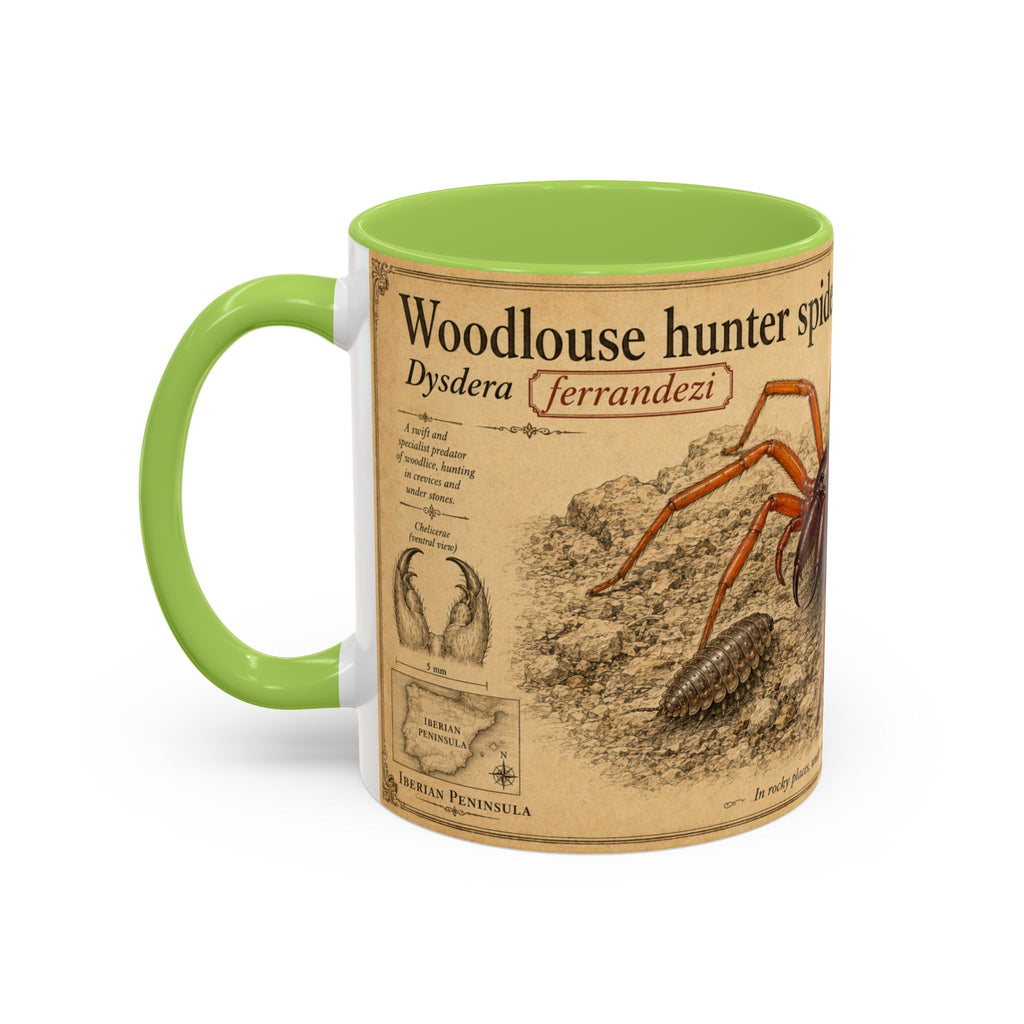 Custom Woodlouse-Hunting Spider Mug – Nature Lover's Gift for Ferran (Dysdera ferrandezi) – Europe/UK