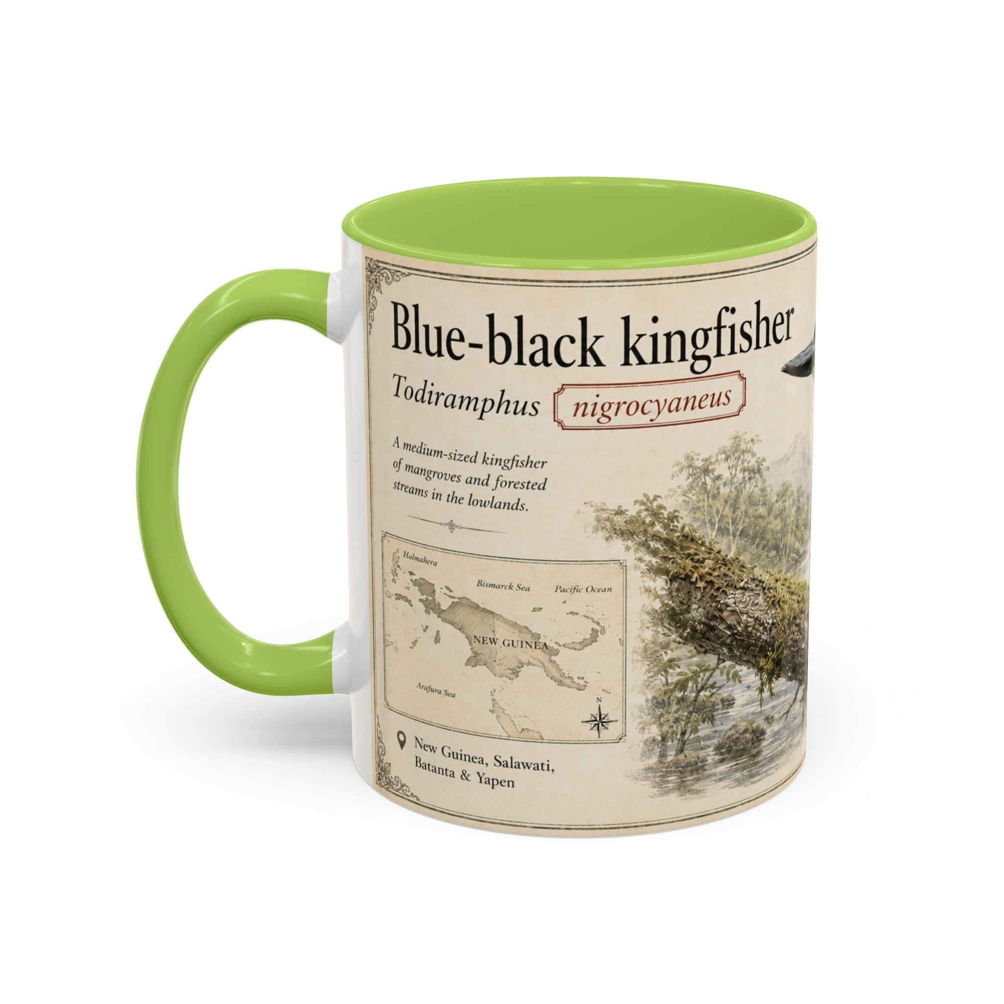 Copy of Custom Woodlouse-Hunting Spider Mug – Nature Lover's Gift for Ferran (Dysdera ferrandezi) – Europe/UK