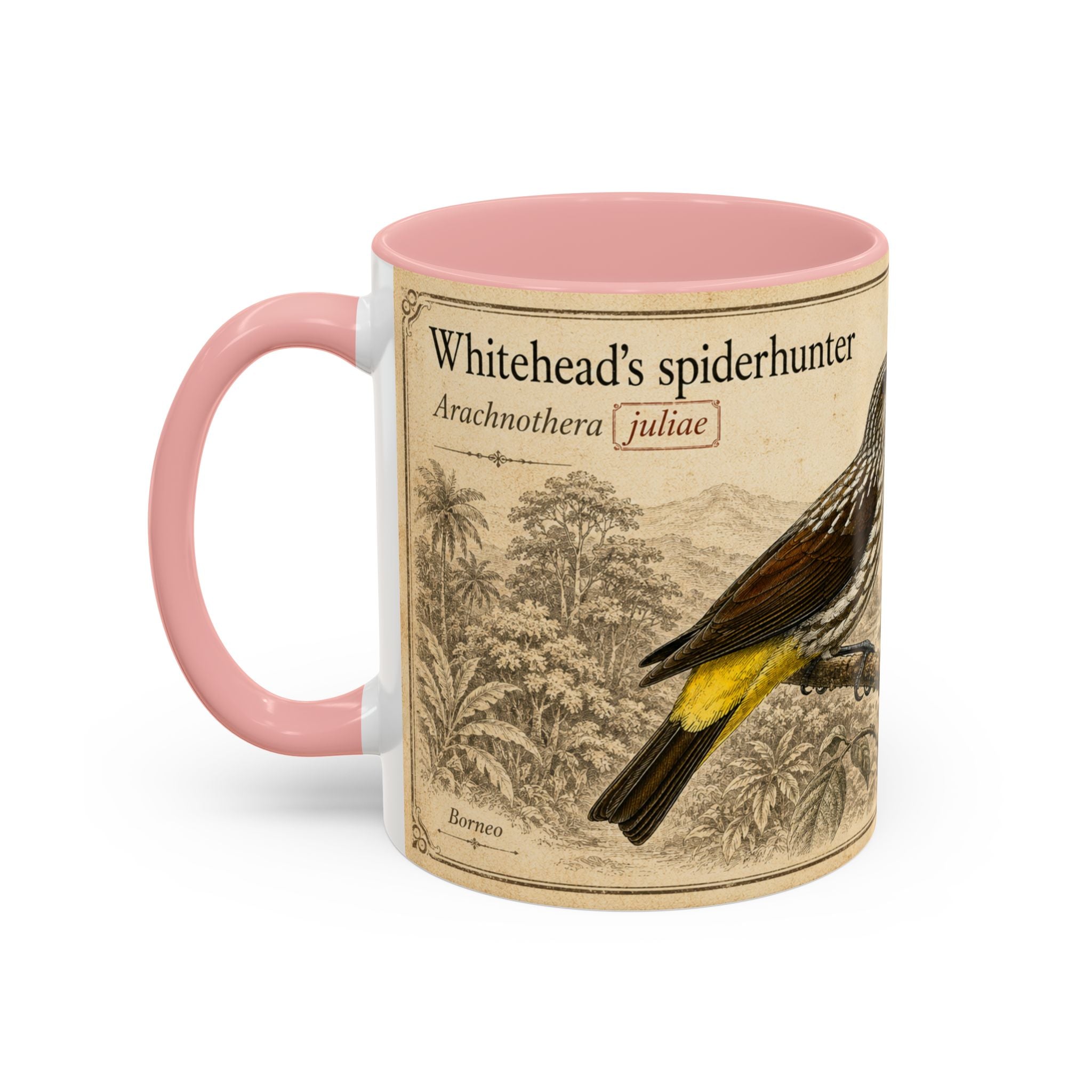 Custom Gift for Julia - Whitehead's spiderhunter (Arachnothera juliae) Nature Lovers Mug  - Europe / UK
