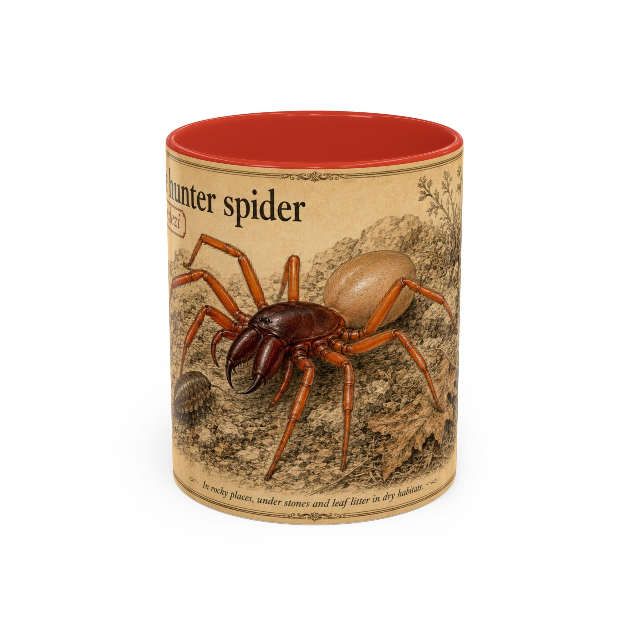 Custom Woodlouse-Hunting Spider Mug – Nature Lover's Gift for Ferran (Dysdera ferrandezi) – Europe/UK