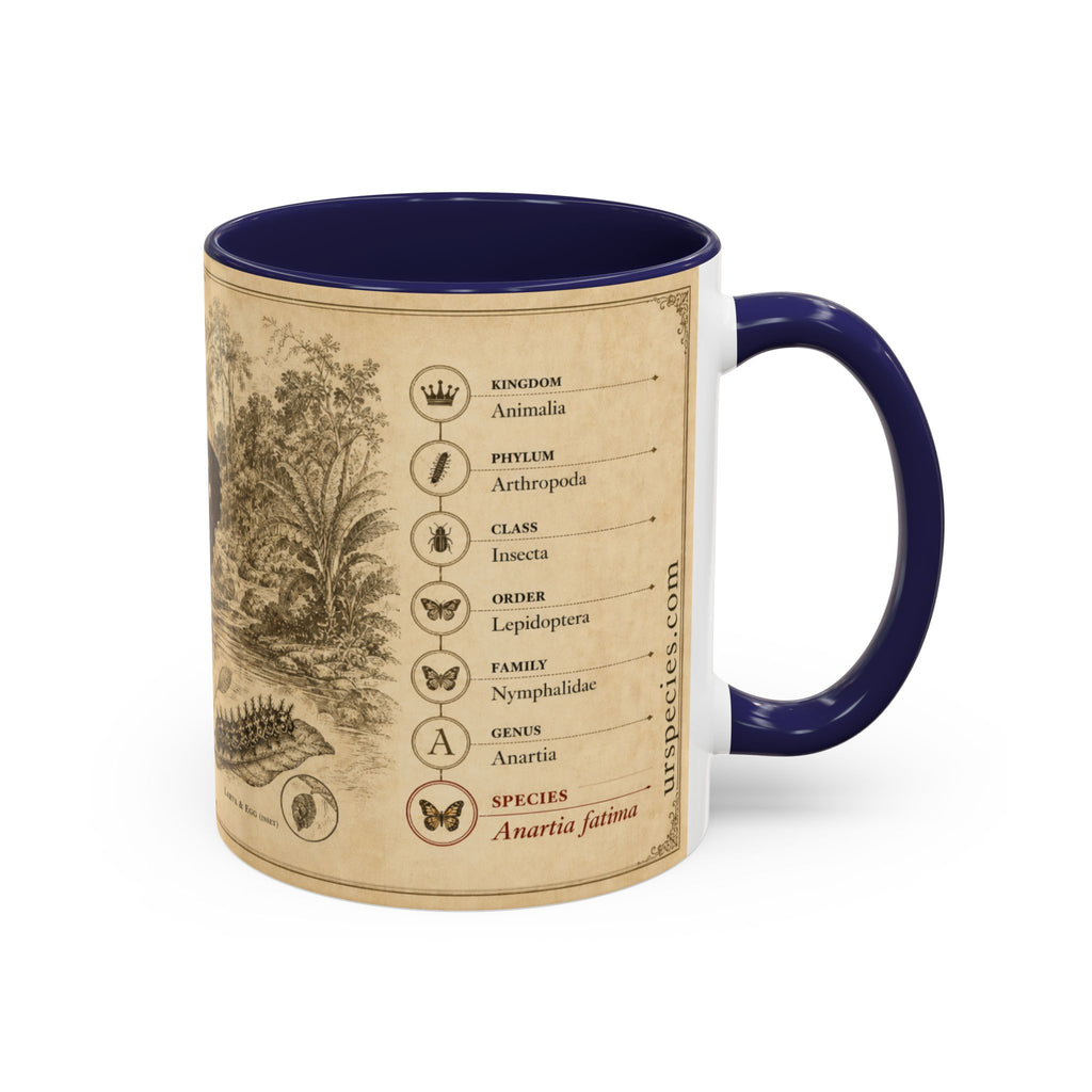 The banded peacock butterfly (Anartia fatima) Coffee Mug — Vintage Mug