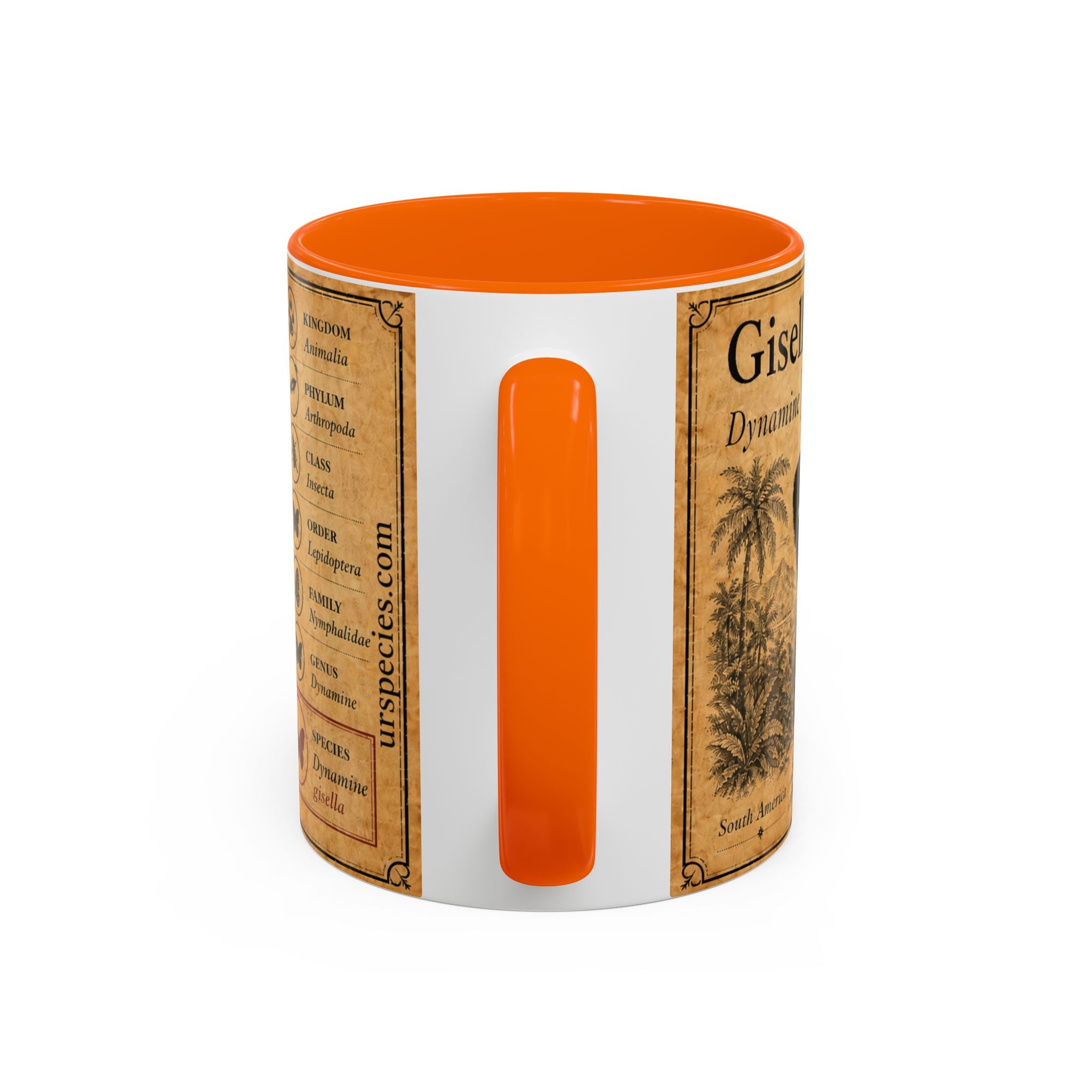 Gisella's Butterfly (Dynamine gisella) Coffee Mug — Vintage Blue Mug