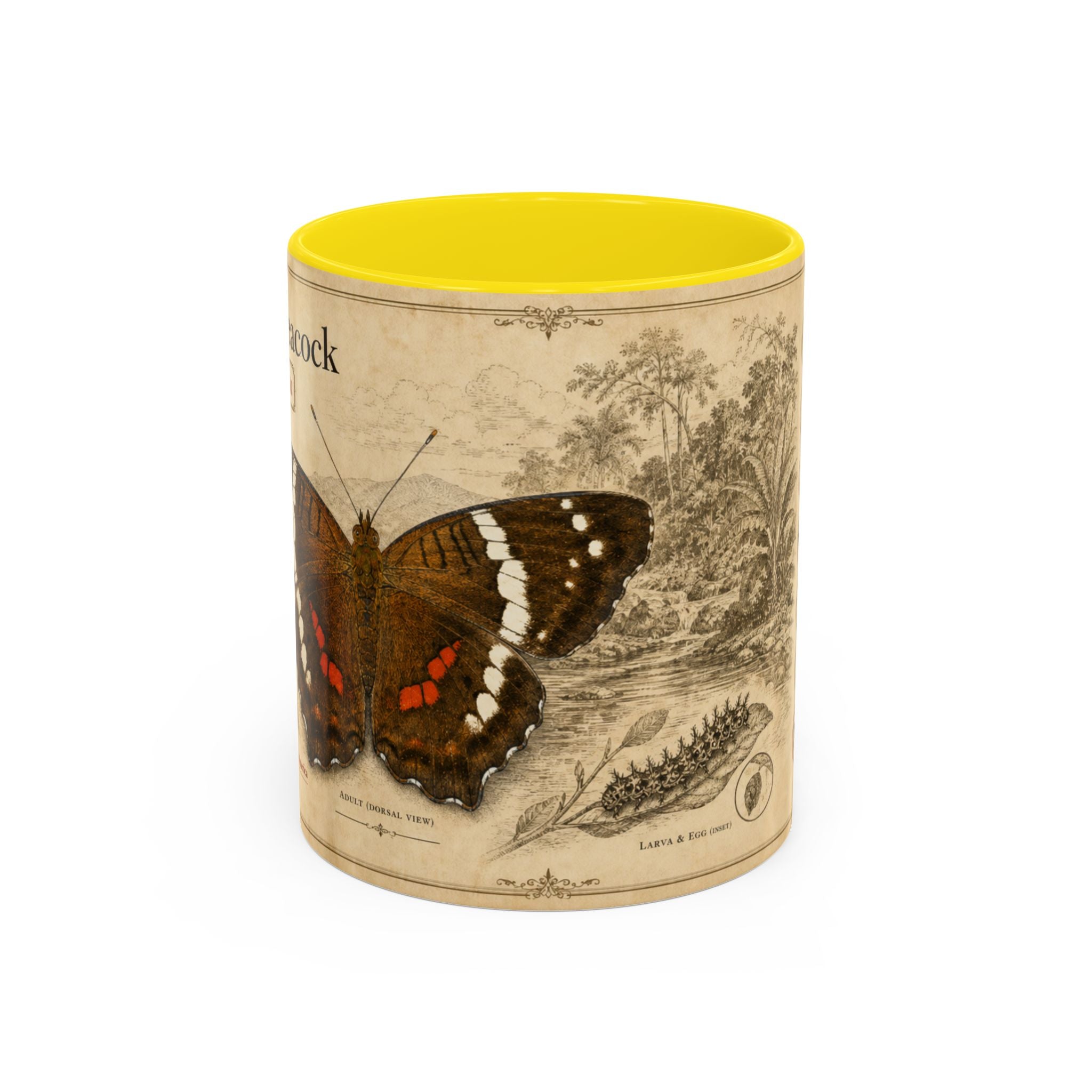 The banded peacock butterfly (Anartia fatima) Coffee Mug — Vintage Mug