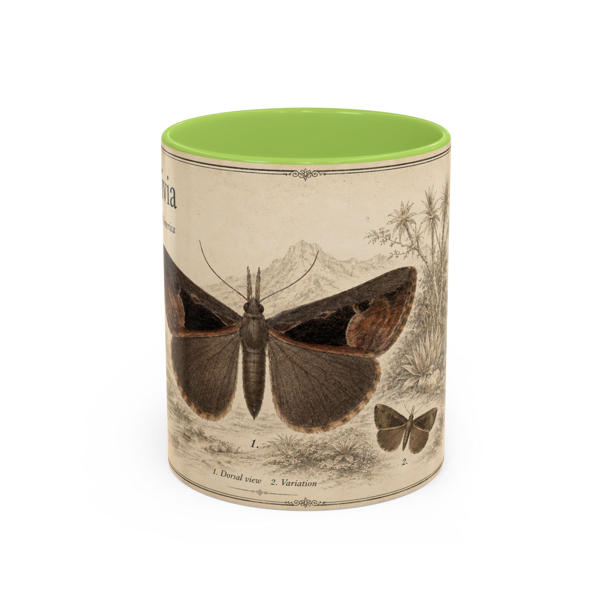 Custom Livia Snail Mug – Nature Lover's Gift for Livia (Hypena livia) – Europe/UK