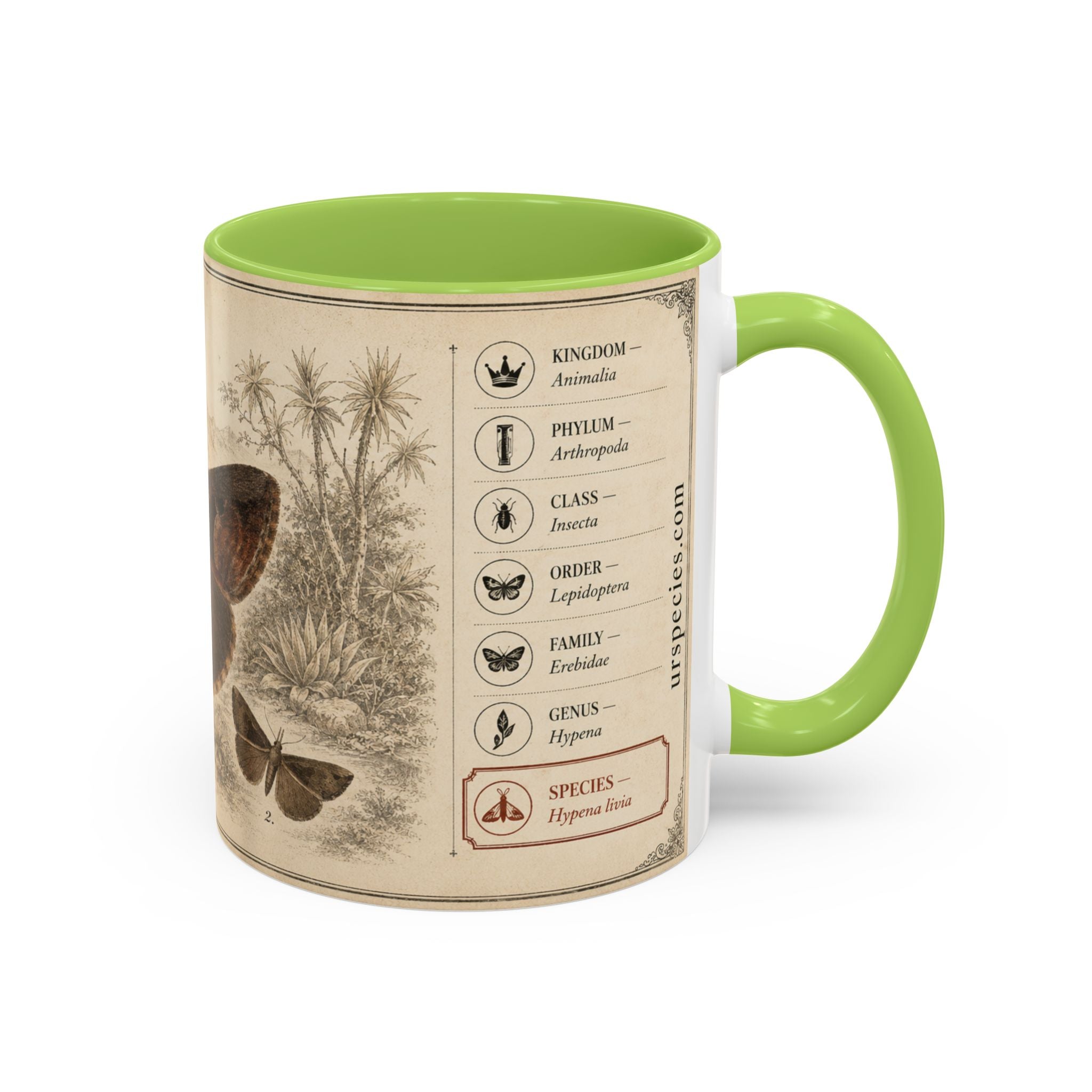 Custom Livia Snail Mug – Nature Lover's Gift for Livia (Hypena livia) – Europe/UK
