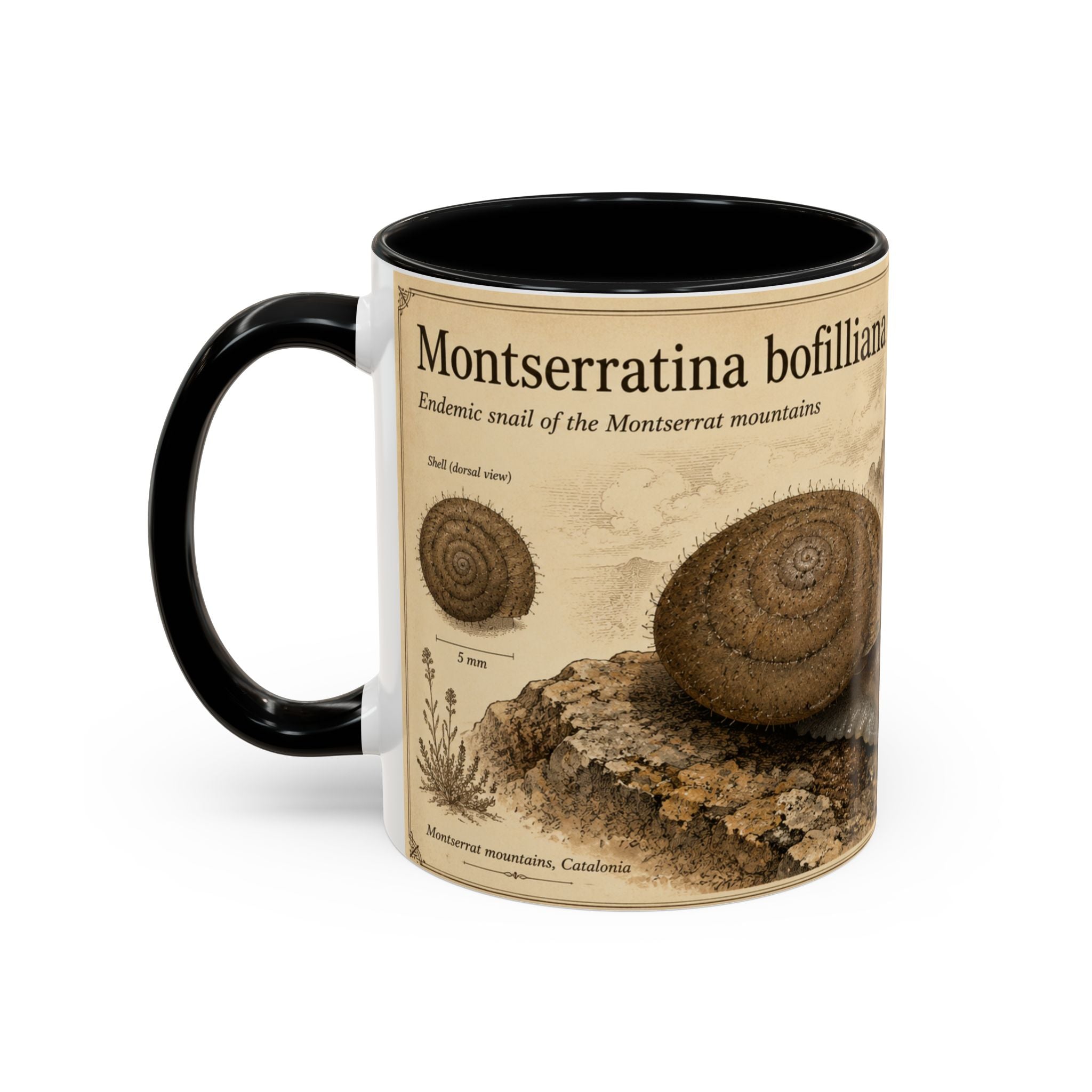 Custom Montserrat Snail Mug – Nature Lover's Gift for Montserrat (Montserratina bofilliana) – Europe/UK