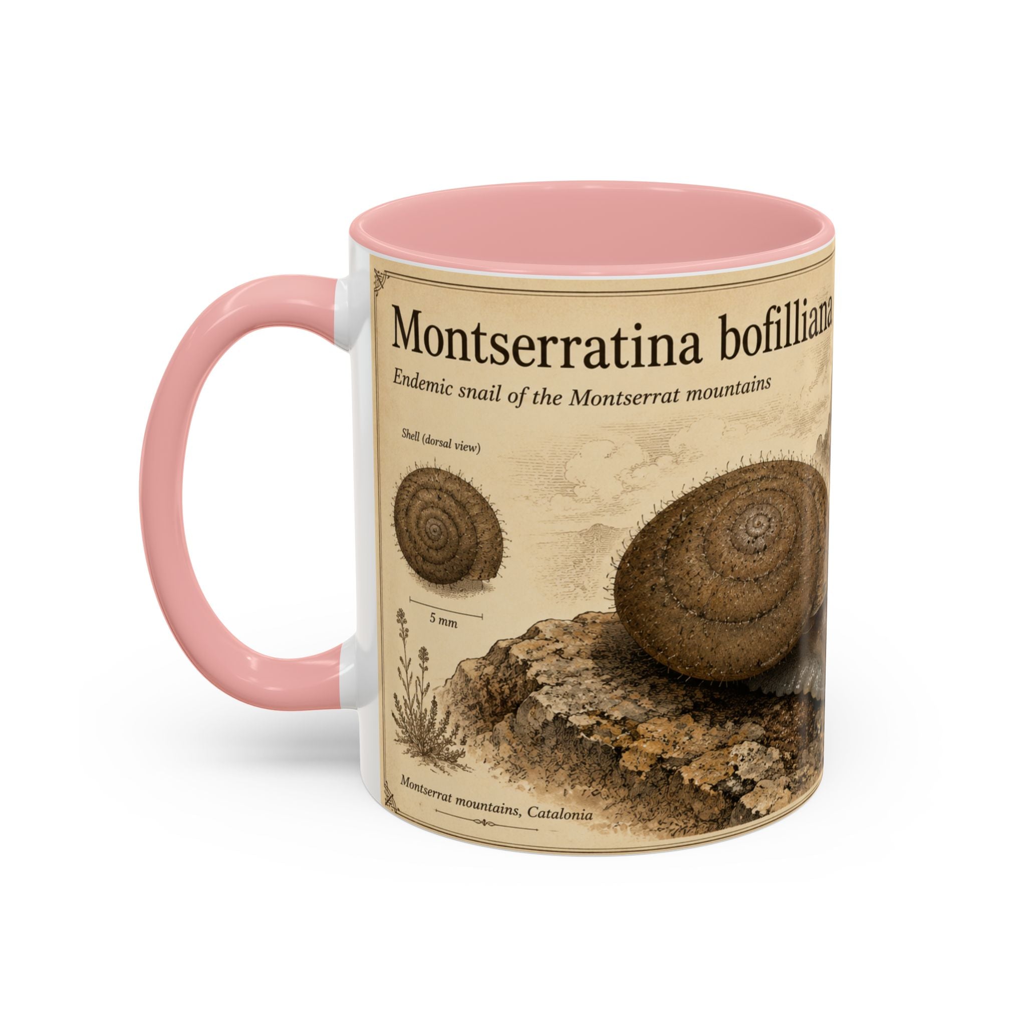 Custom Montserrat Snail Mug – Nature Lover's Gift for Montserrat (Montserratina bofilliana) – Europe/UK