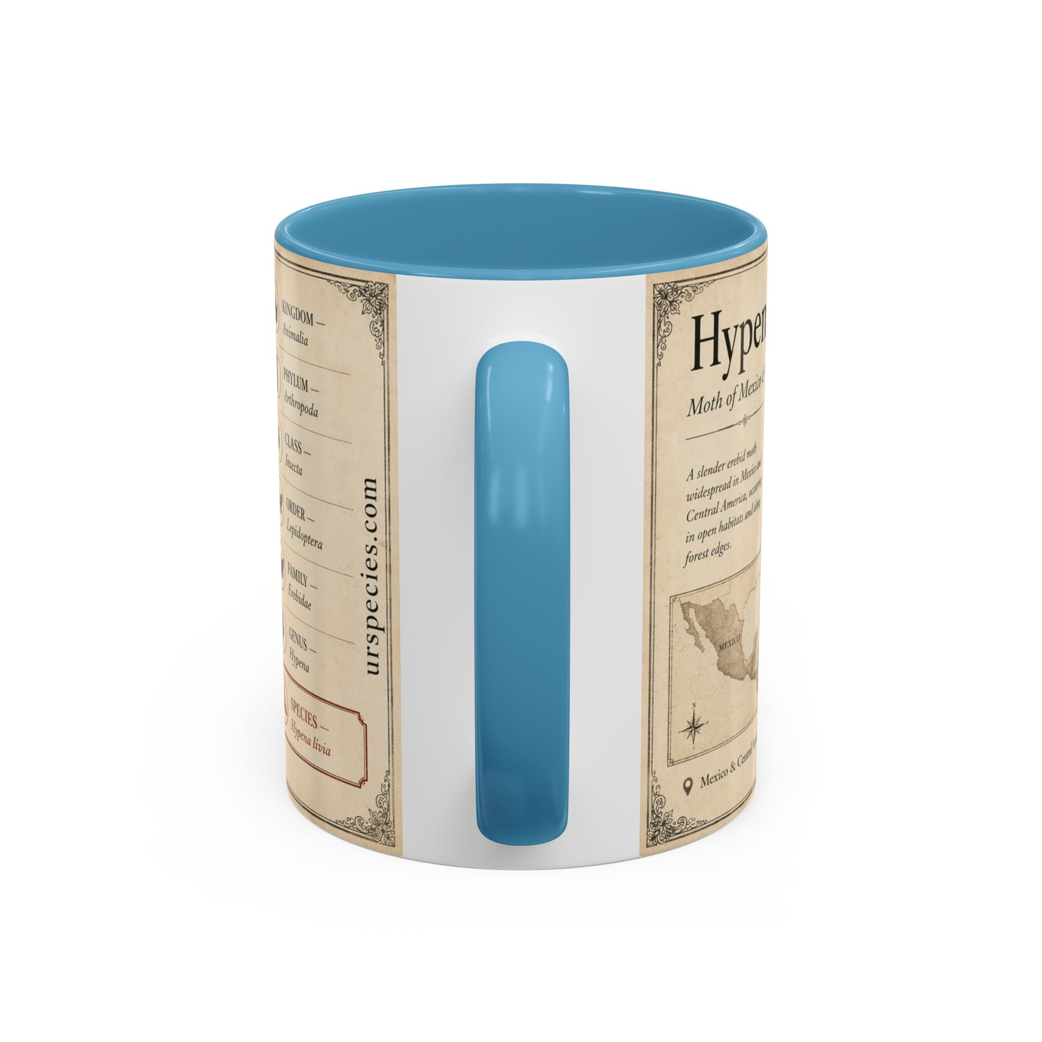 Custom Livia Snail Mug – Nature Lover's Gift for Livia (Hypena livia) – Europe/UK