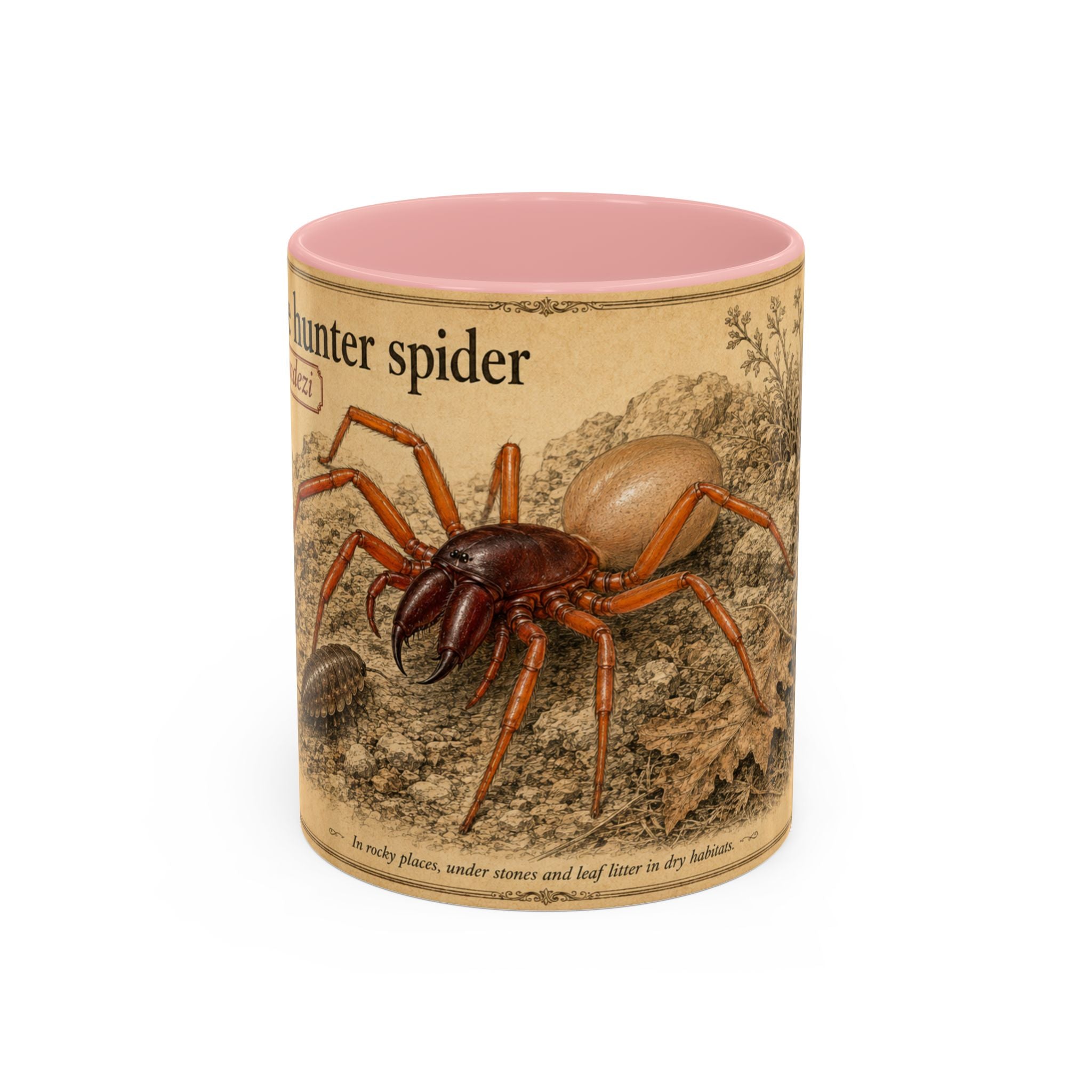 Custom Woodlouse-Hunting Spider Mug – Nature Lover's Gift for Ferran (Dysdera ferrandezi) – Europe/UK