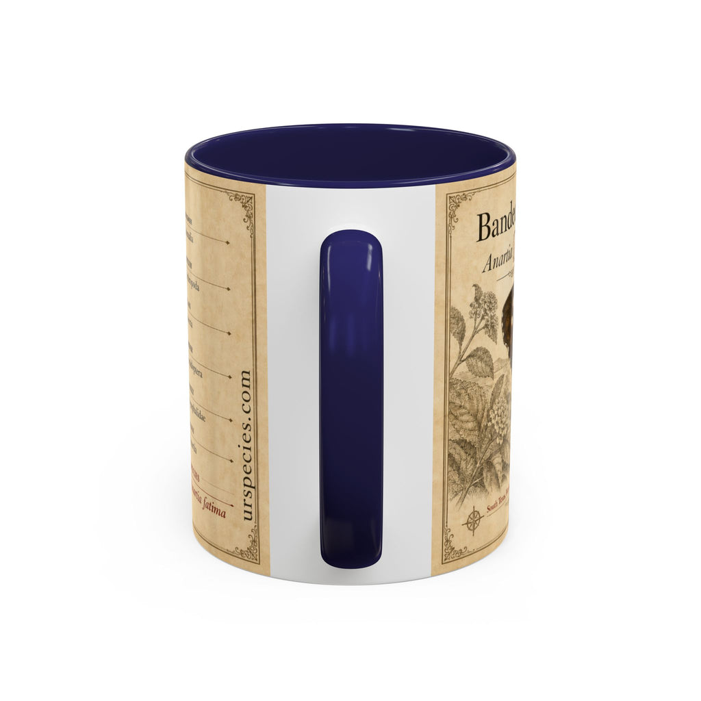 The banded peacock butterfly (Anartia fatima) Coffee Mug — Vintage Mug