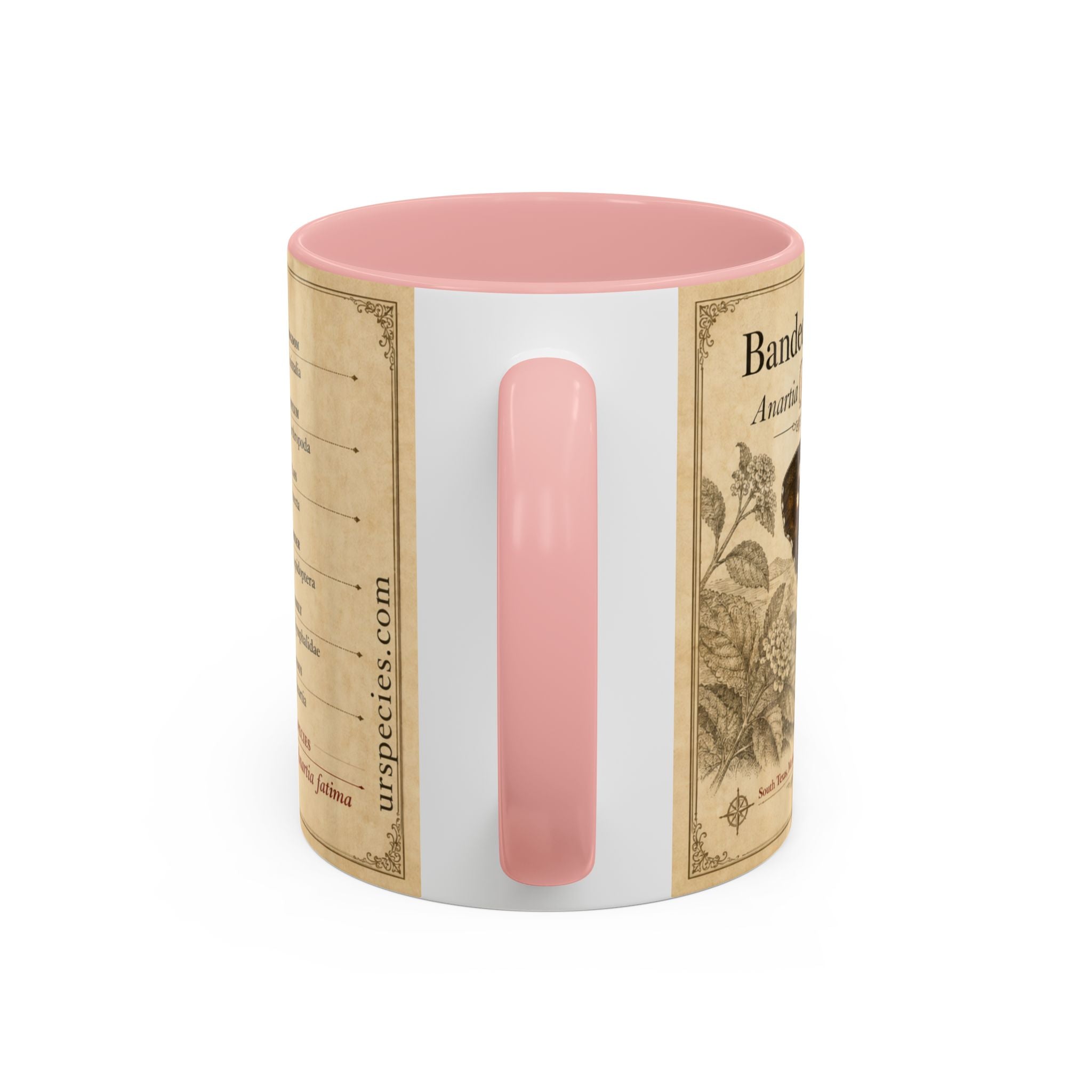 The banded peacock butterfly (Anartia fatima) Coffee Mug — Vintage Mug