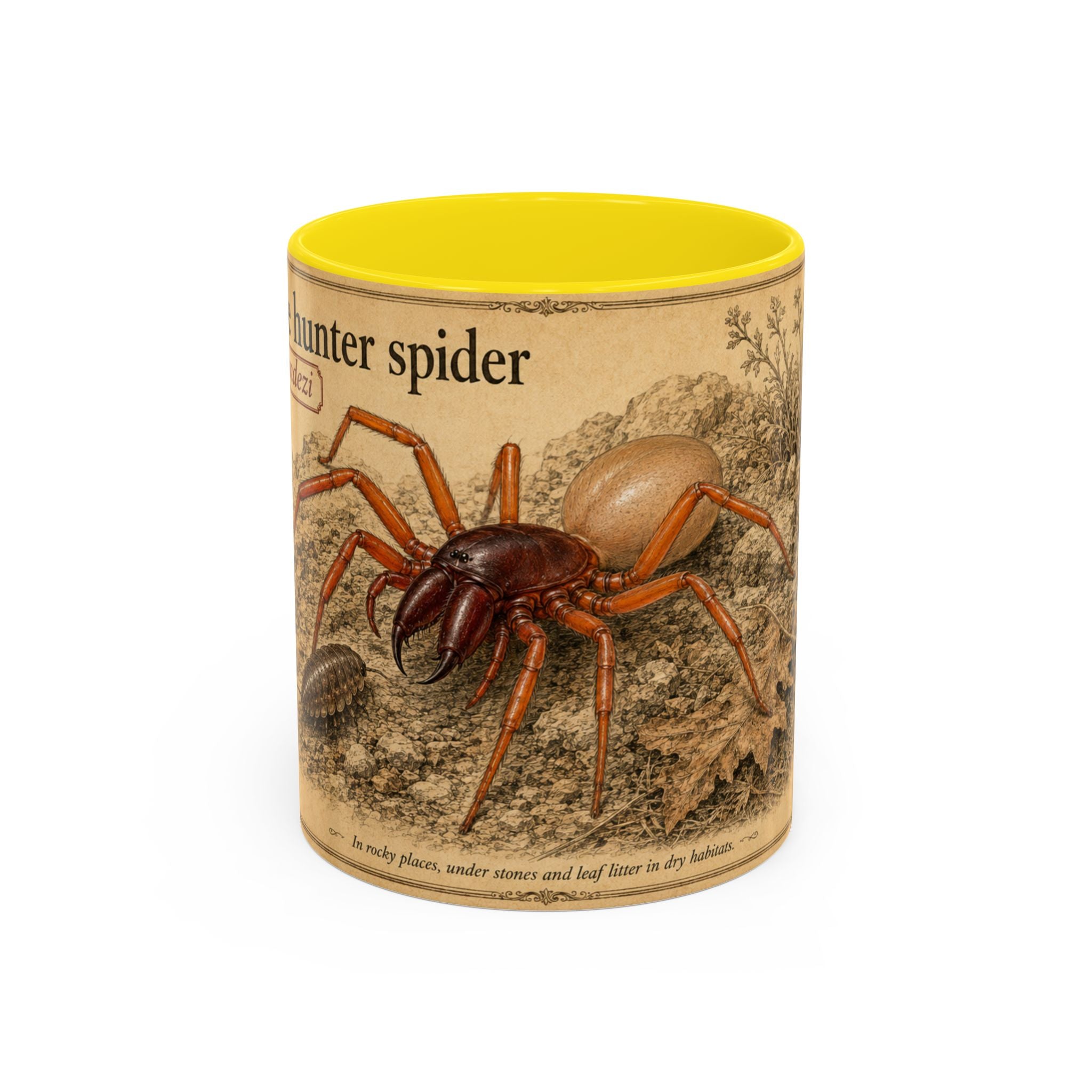 Custom Woodlouse-Hunting Spider Mug – Nature Lover's Gift for Ferran (Dysdera ferrandezi) – Europe/UK