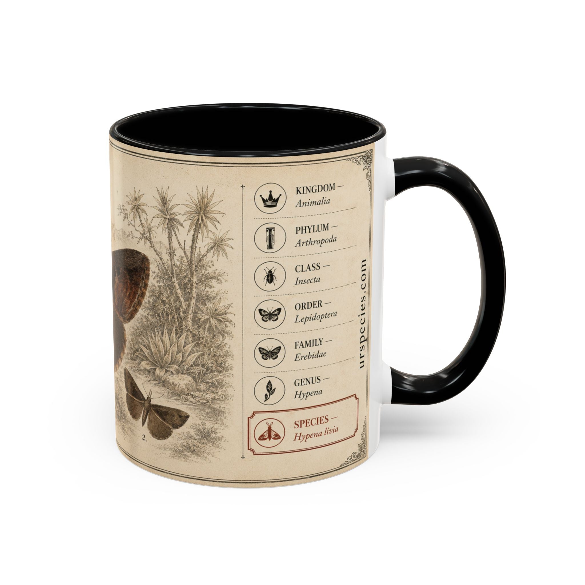 Custom Livia Snail Mug – Nature Lover's Gift for Livia (Hypena livia) – Europe/UK