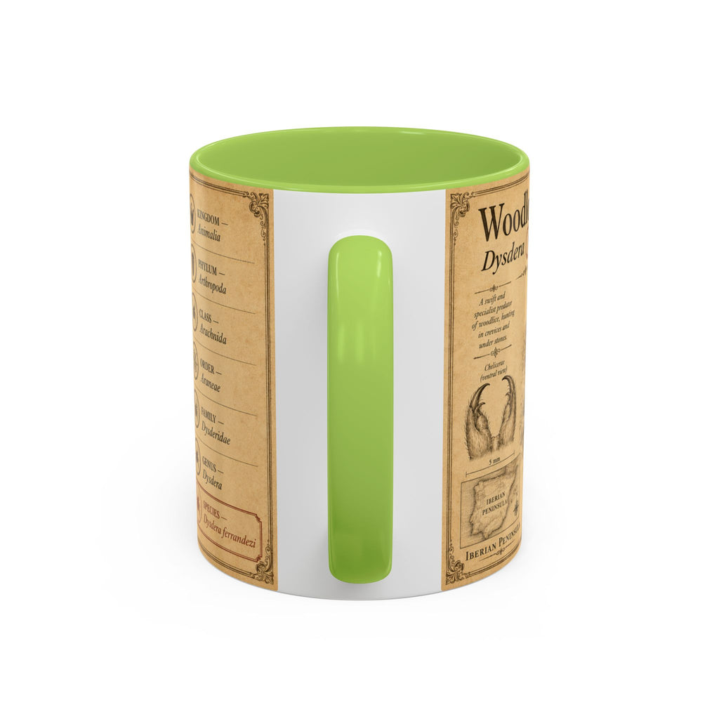Custom Woodlouse-Hunting Spider Mug – Nature Lover's Gift for Ferran (Dysdera ferrandezi) – Europe/UK